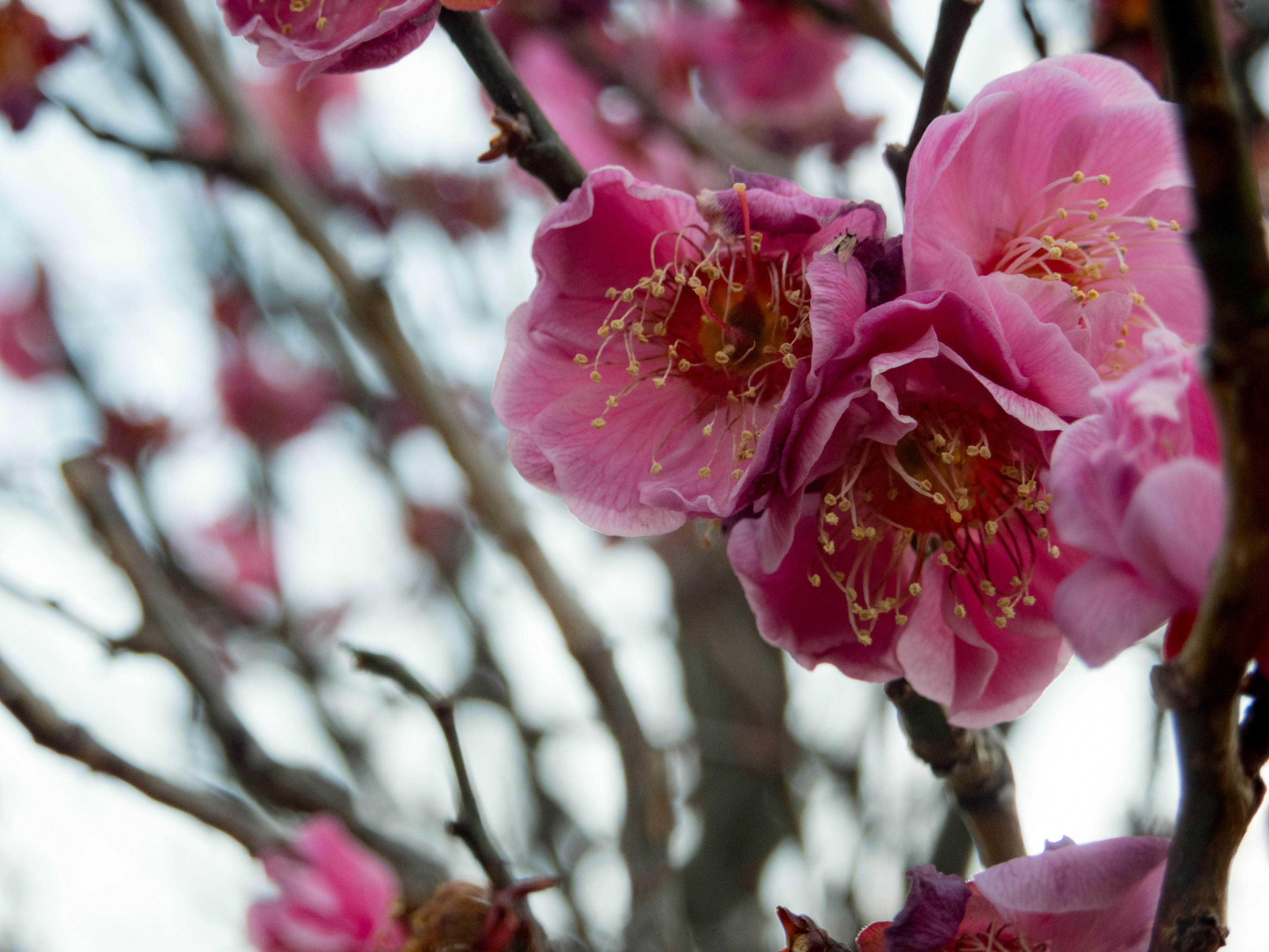 Photo by heppoko_yama