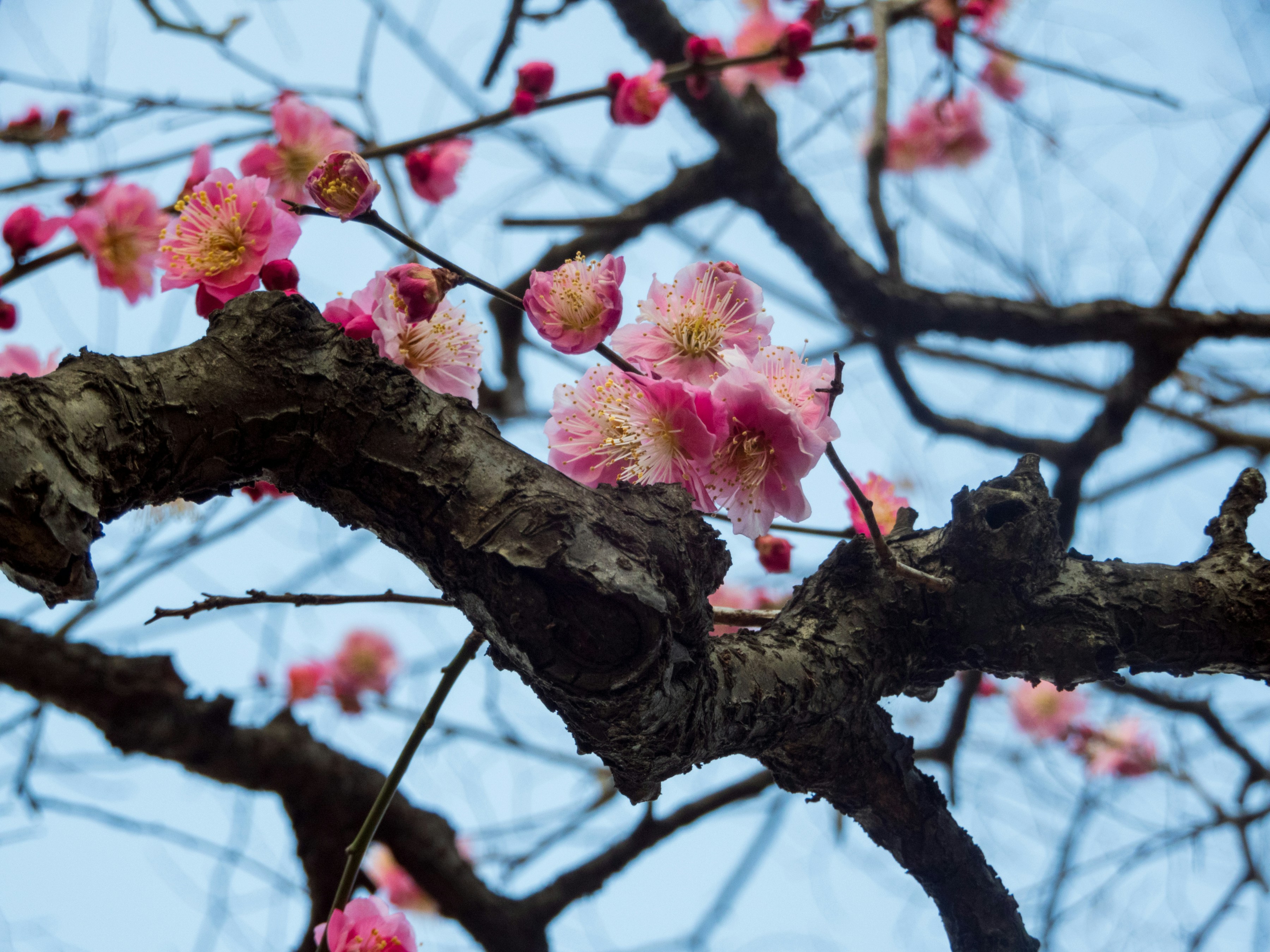 Photo by heppoko_yama