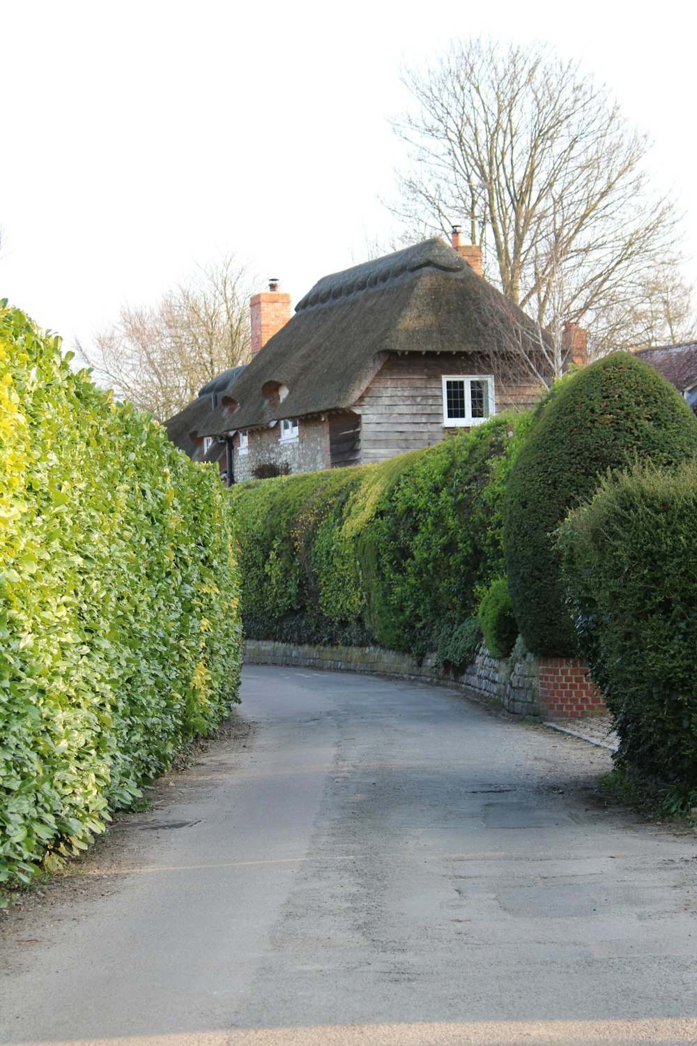 a house with a thatched roof next to a hedge lined road