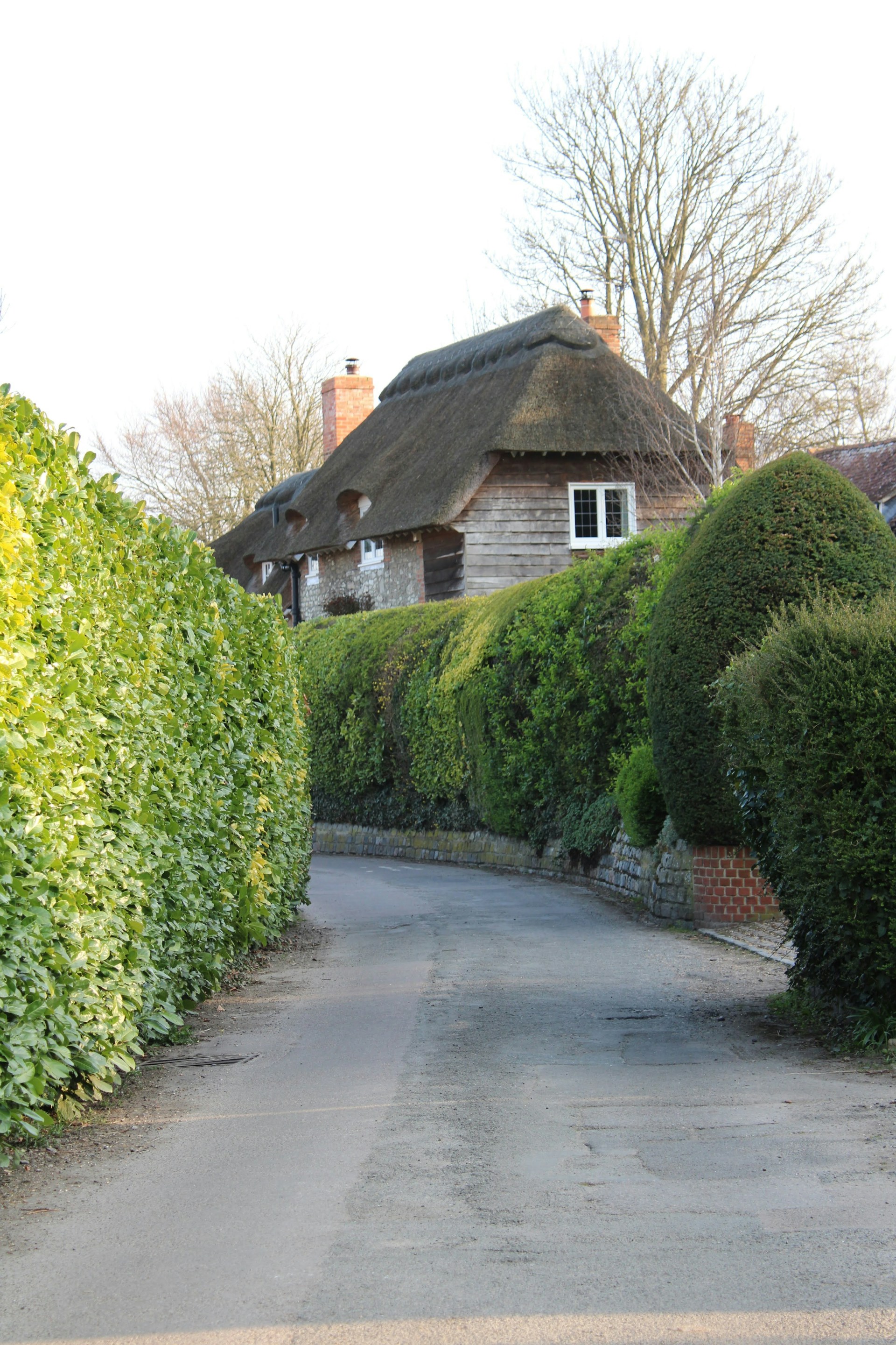 a house with a thatched roof next to a hedge lined road