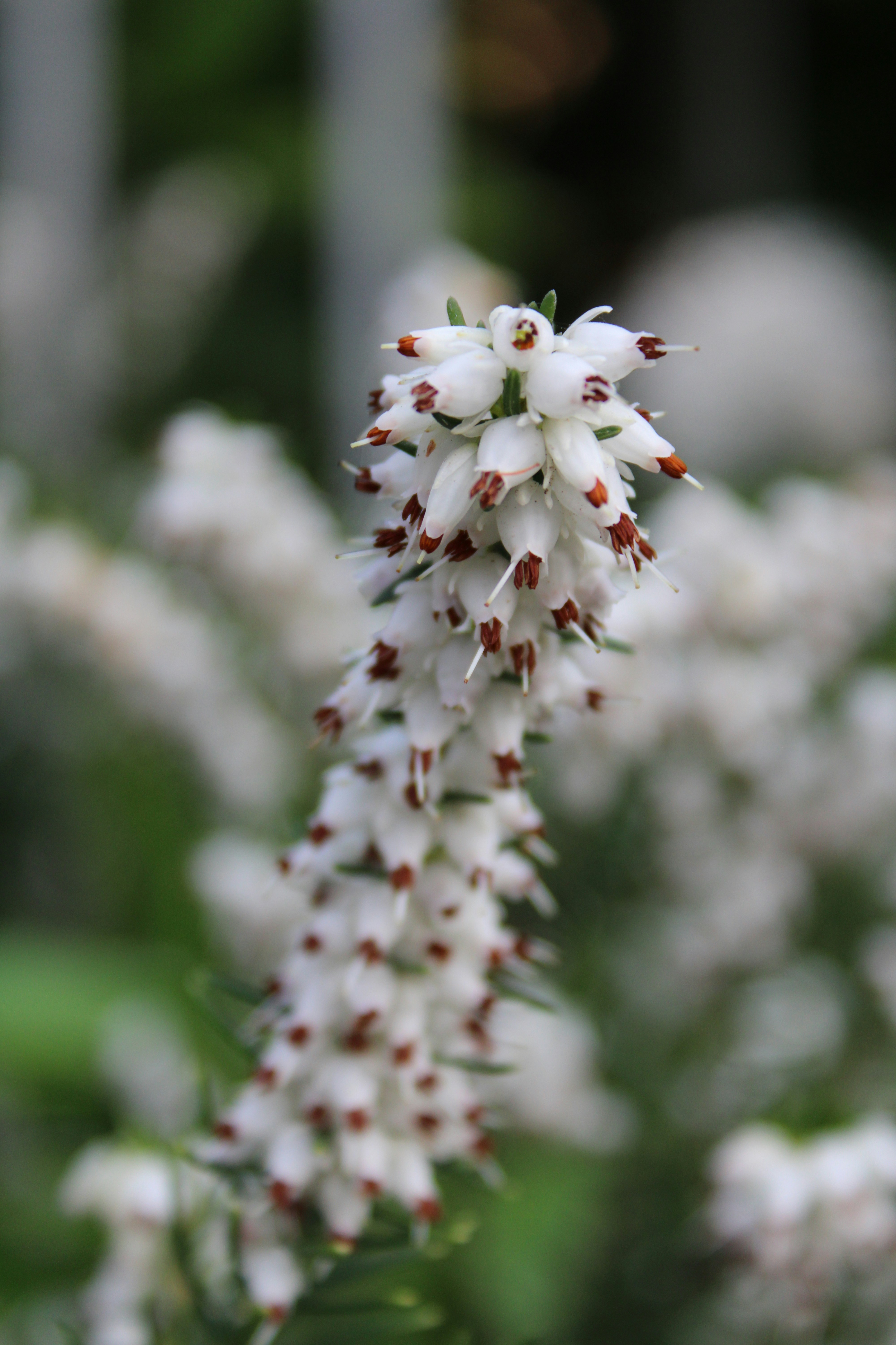 Photo by balesphotographyco