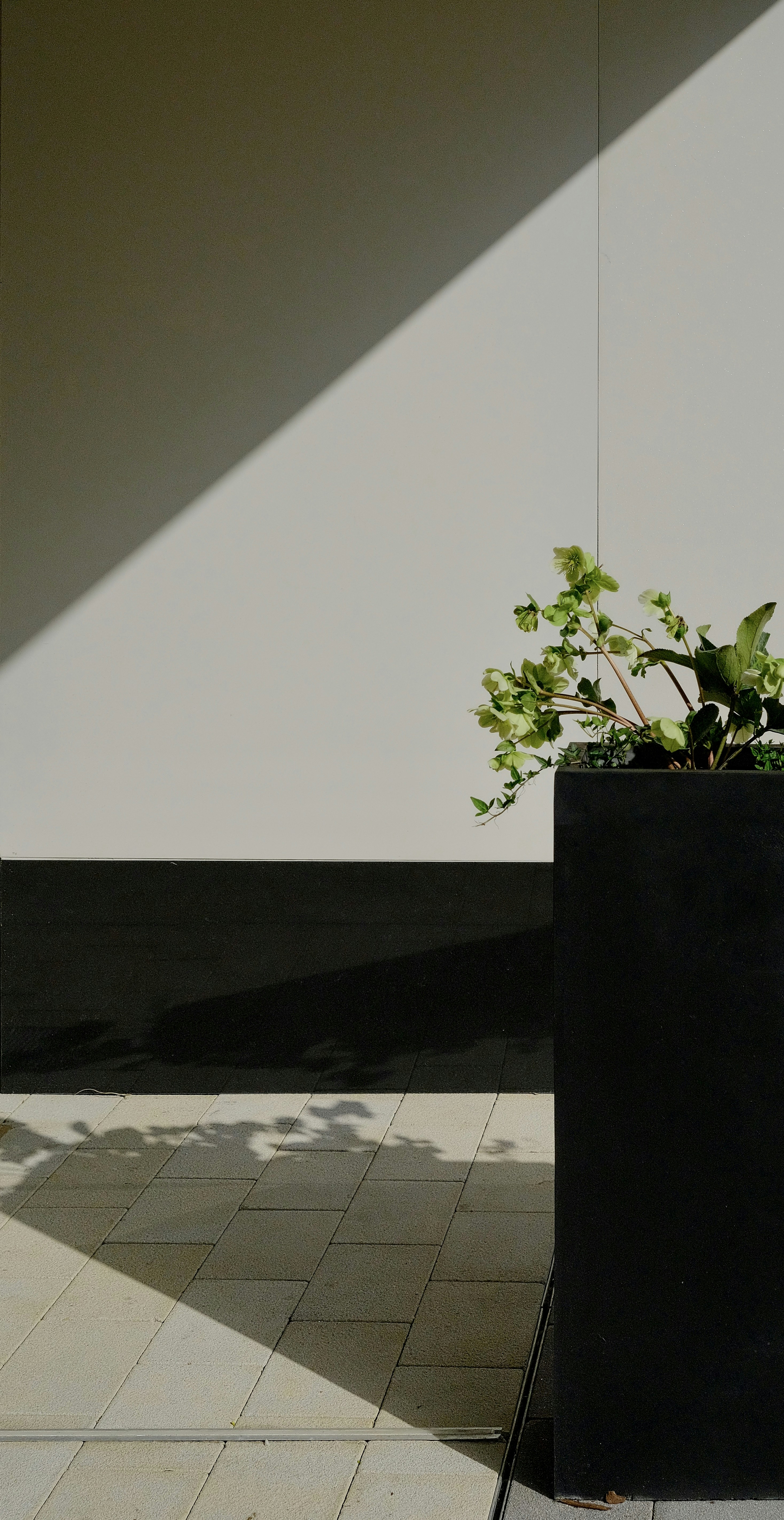 a planter sitting on a sidewalk next to a wall
