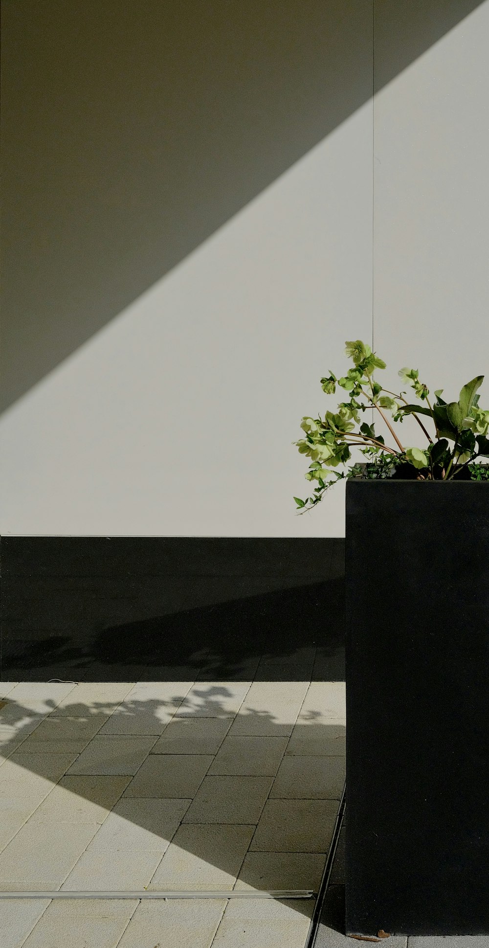 Ein Pflanzgefäß sitzt auf einem Bürgersteig neben einer Mauer