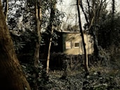 a house in the woods with trees around it