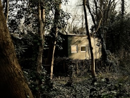a house in the woods with trees around it
