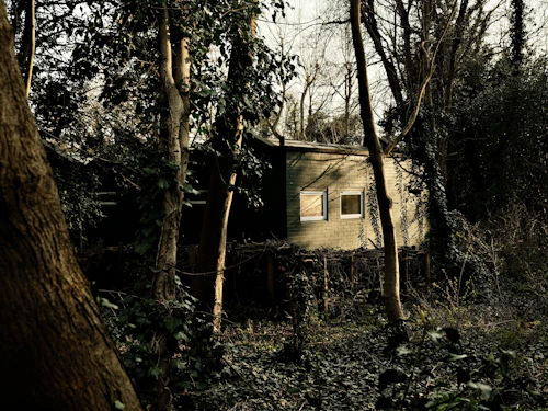 House in the woods