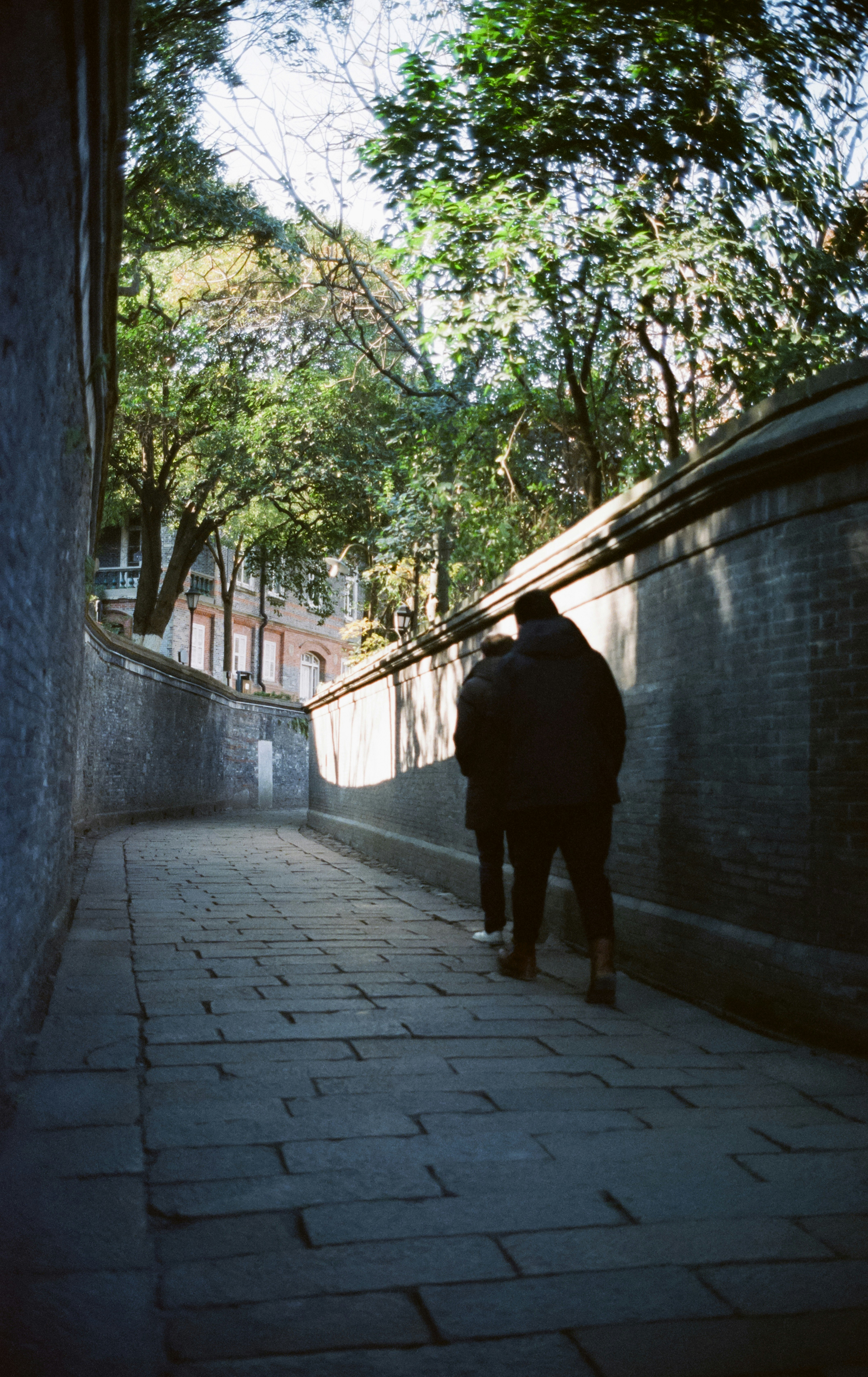 Photo by geraltyichen