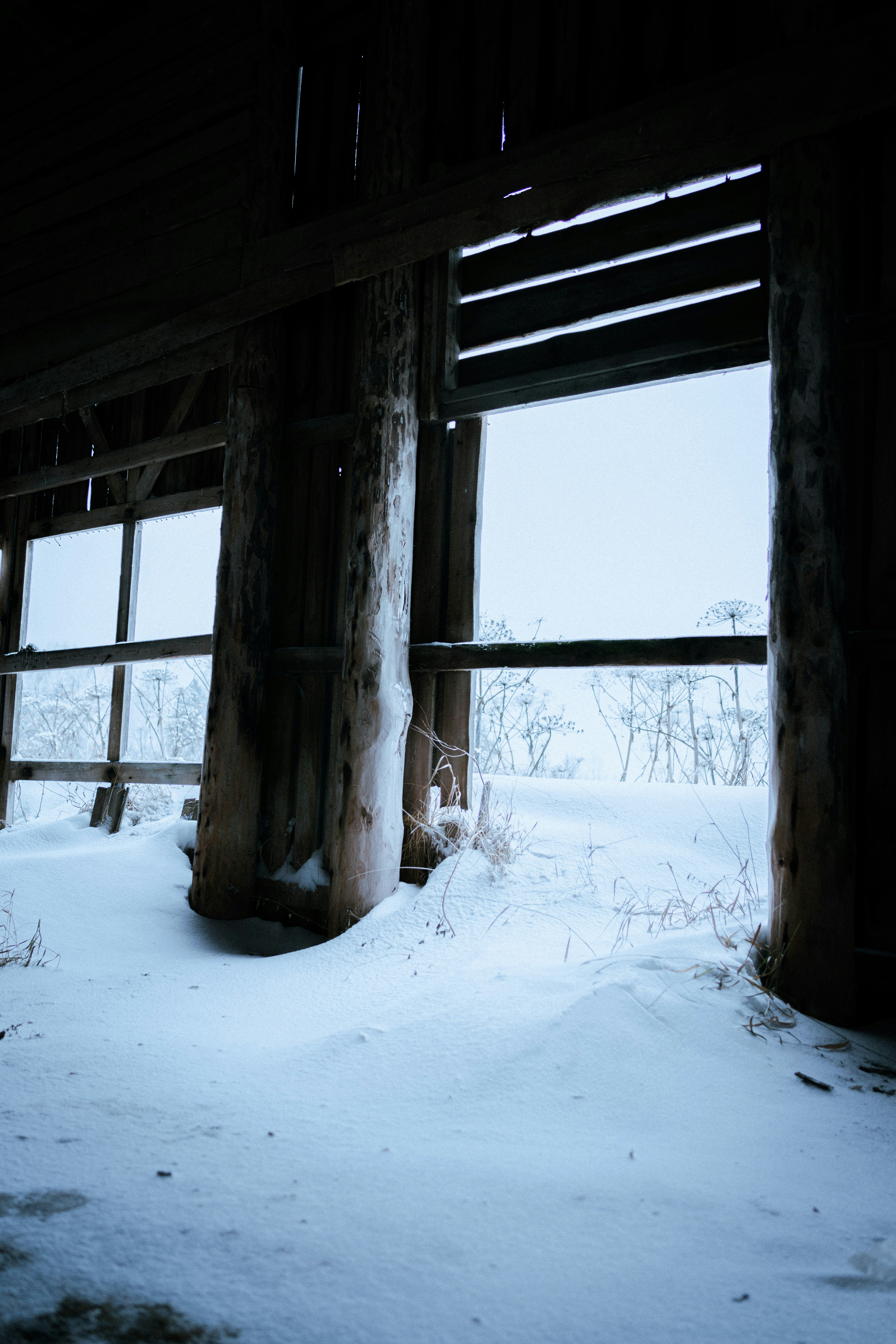 Photo by shklyaevmax