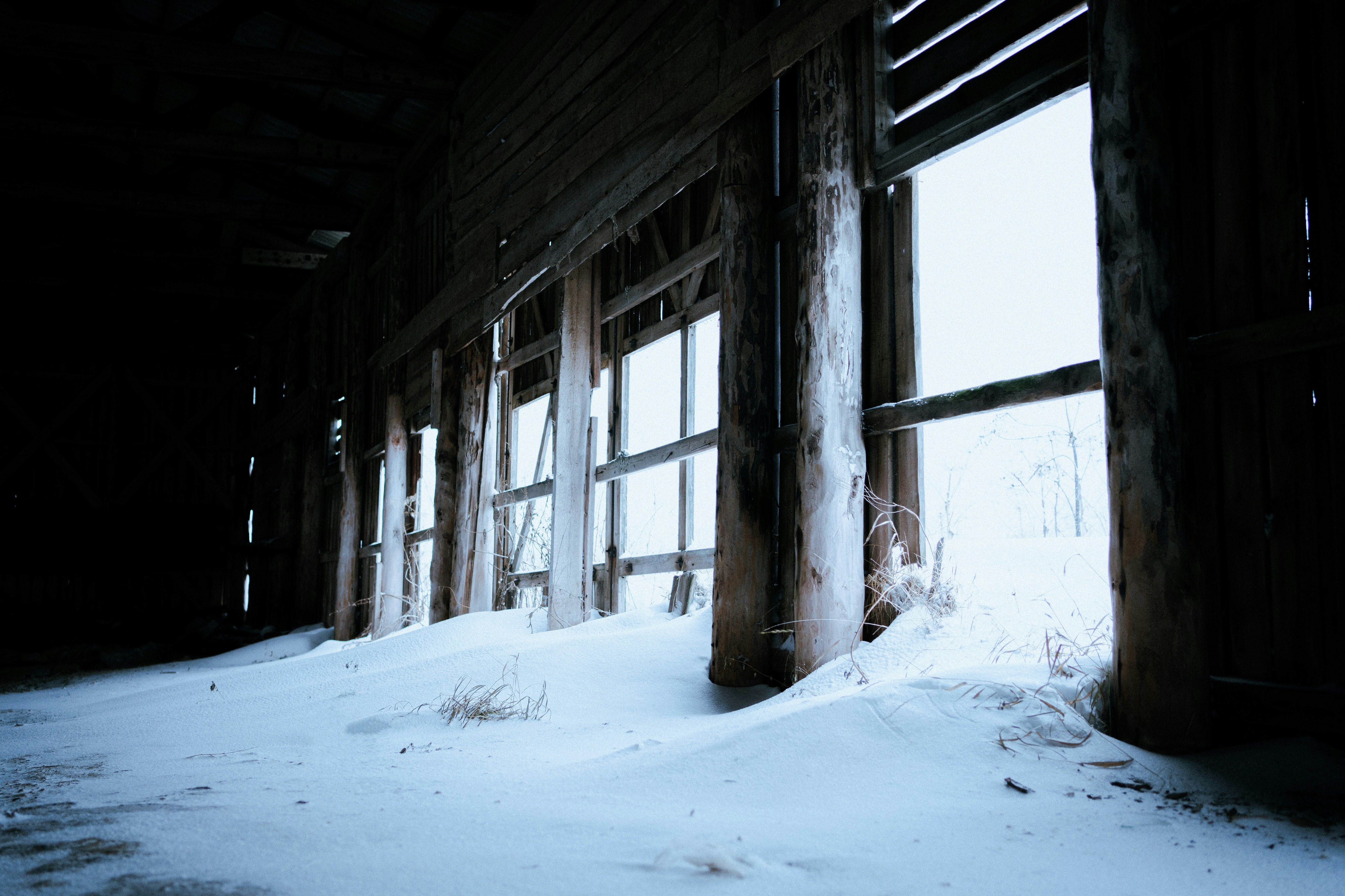 Photo by shklyaevmax