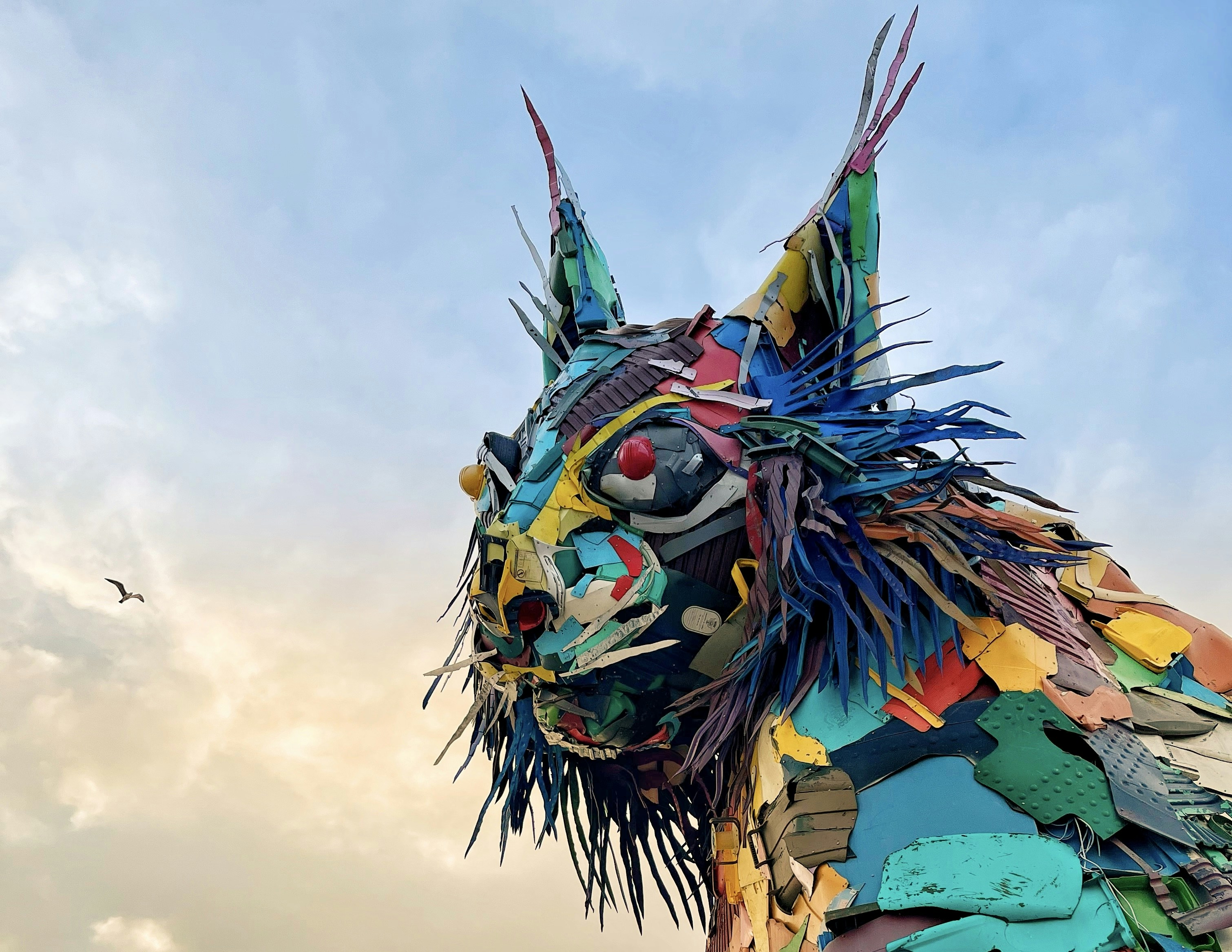 Photo by julenreyazcona