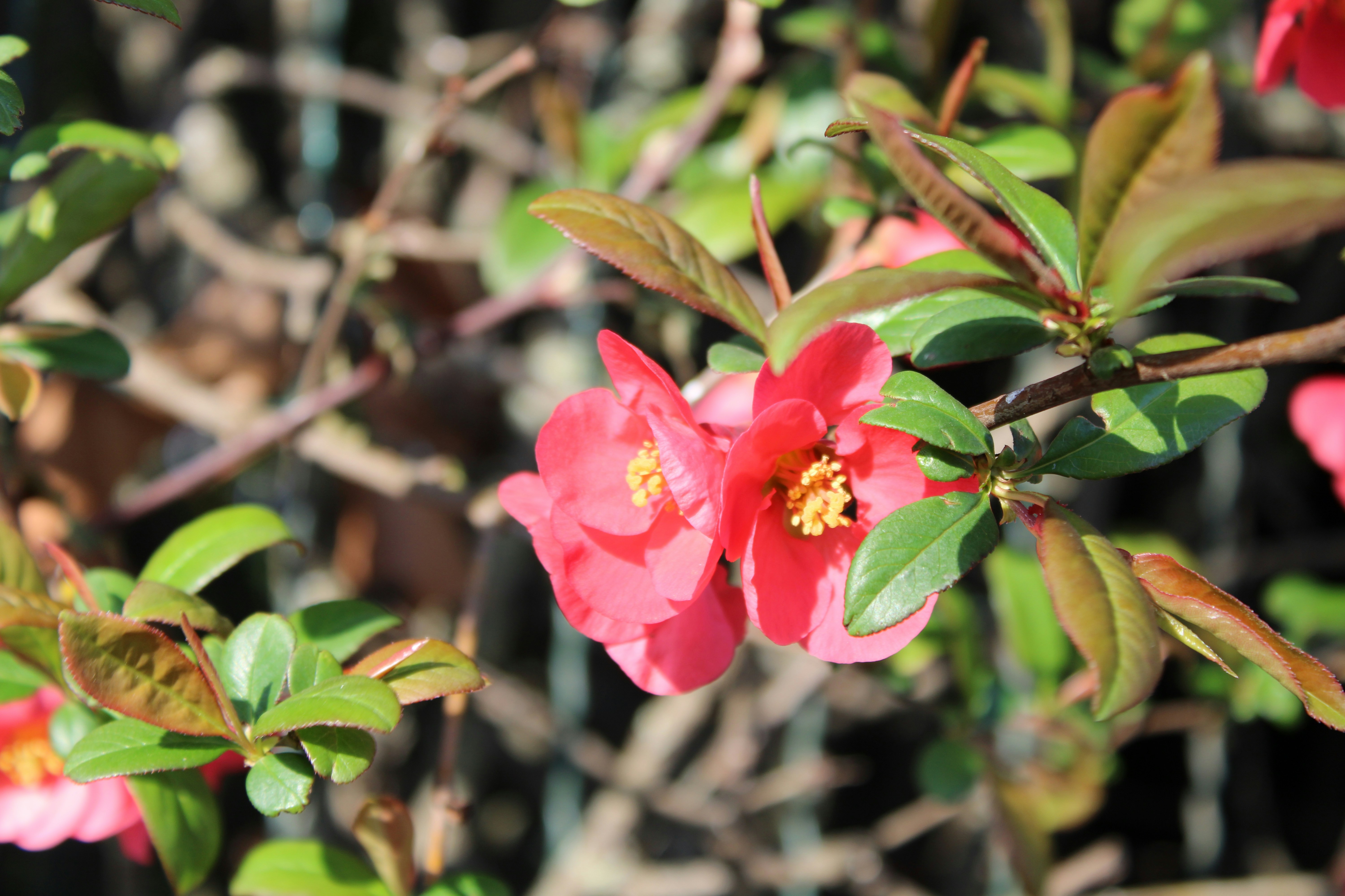 Photo by carolinabetancur