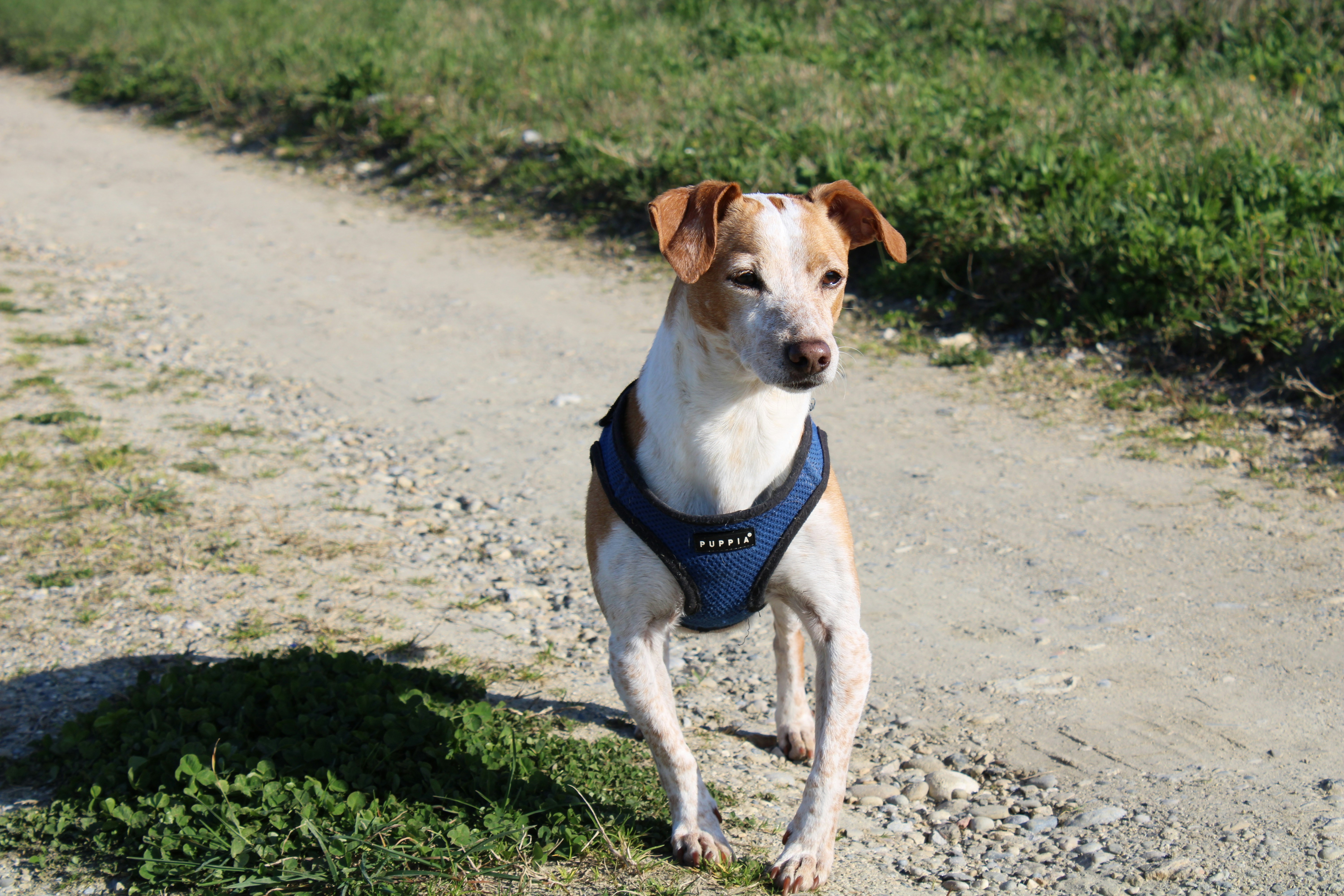 Photo by carolinabetancur