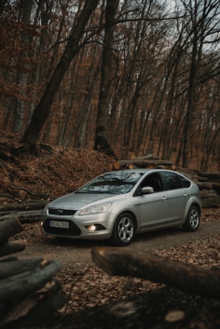 a silver car parked in a wooded area