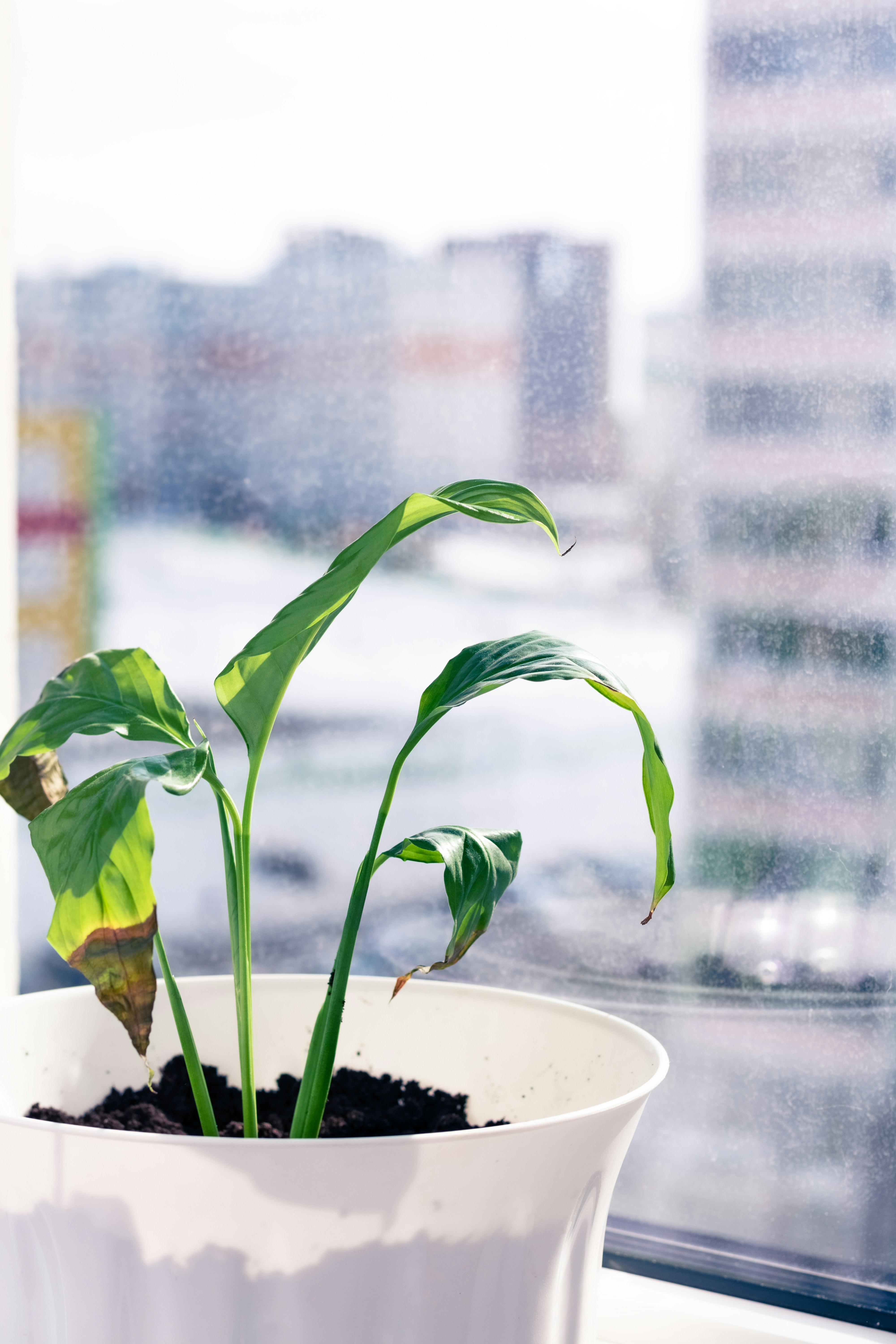 Photo by therealslkhv