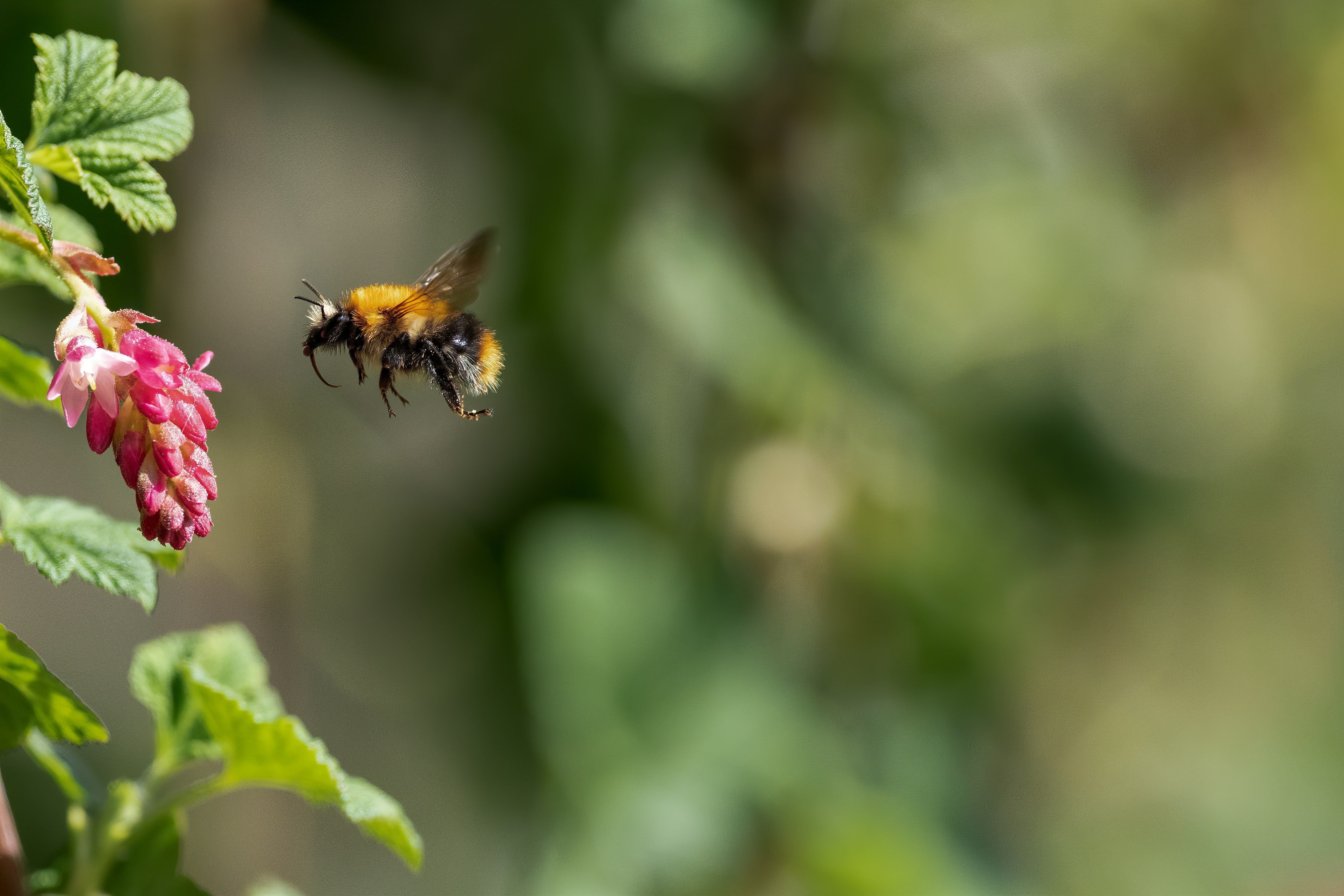 Photo by vincentvanzalinge