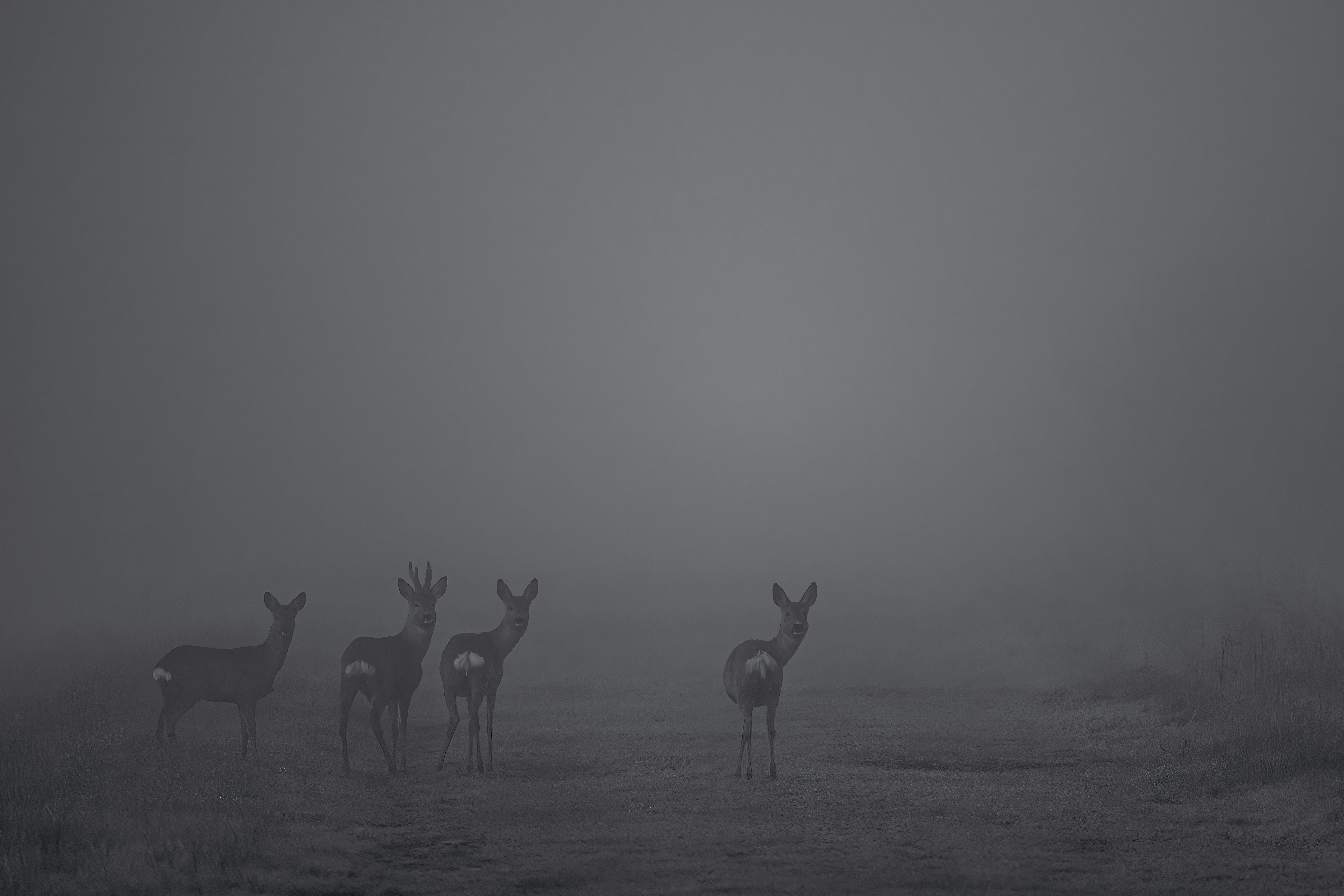 Photo by vincentvanzalinge