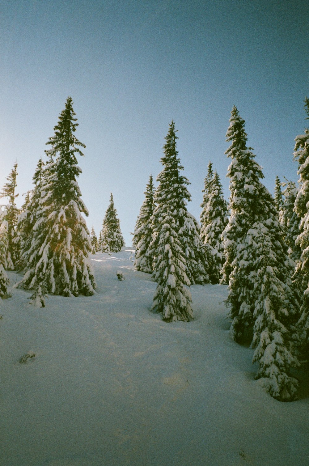 a person riding skis on a snowy surface