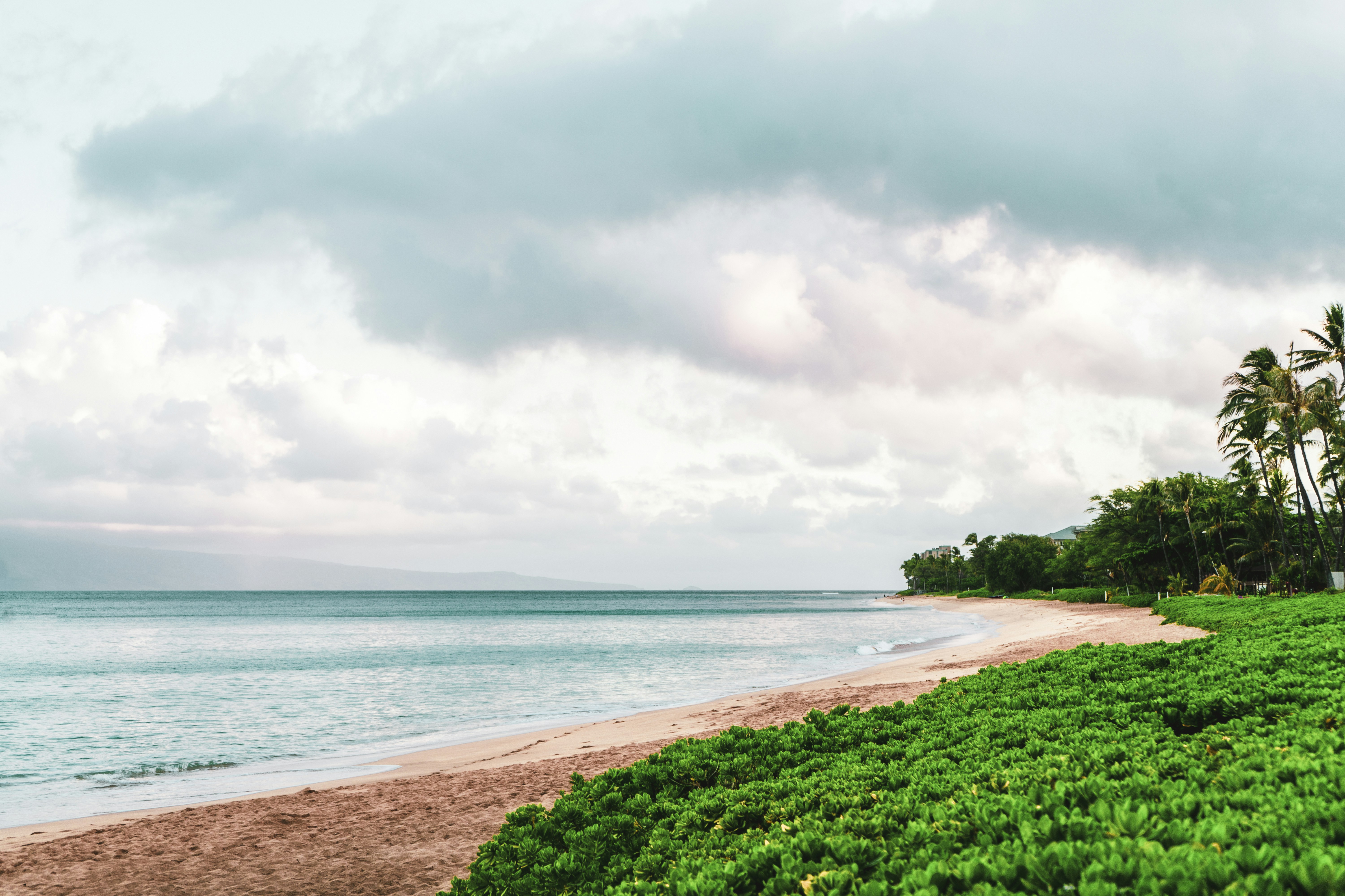 Photo by denisseleon