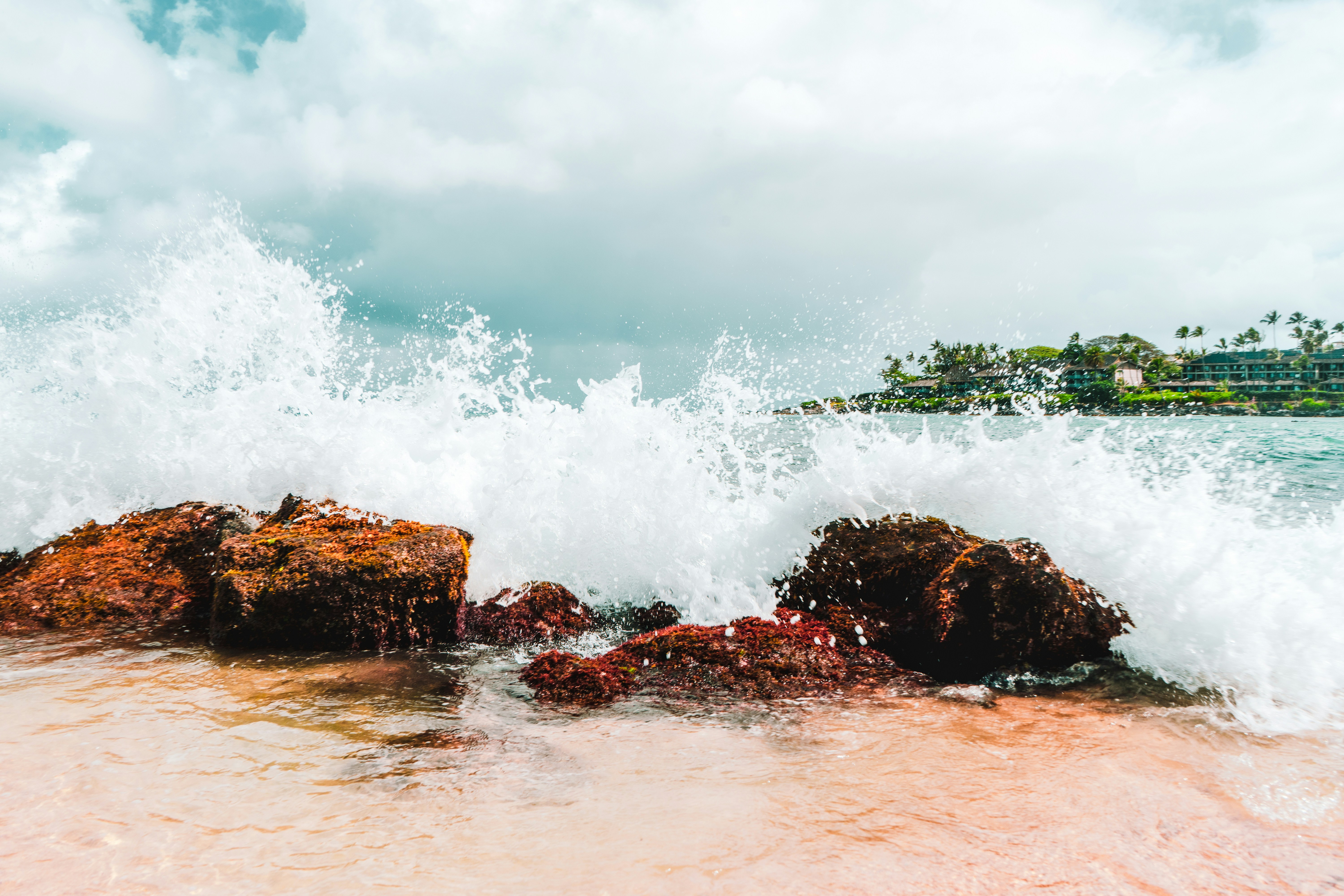 Photo by denisseleon