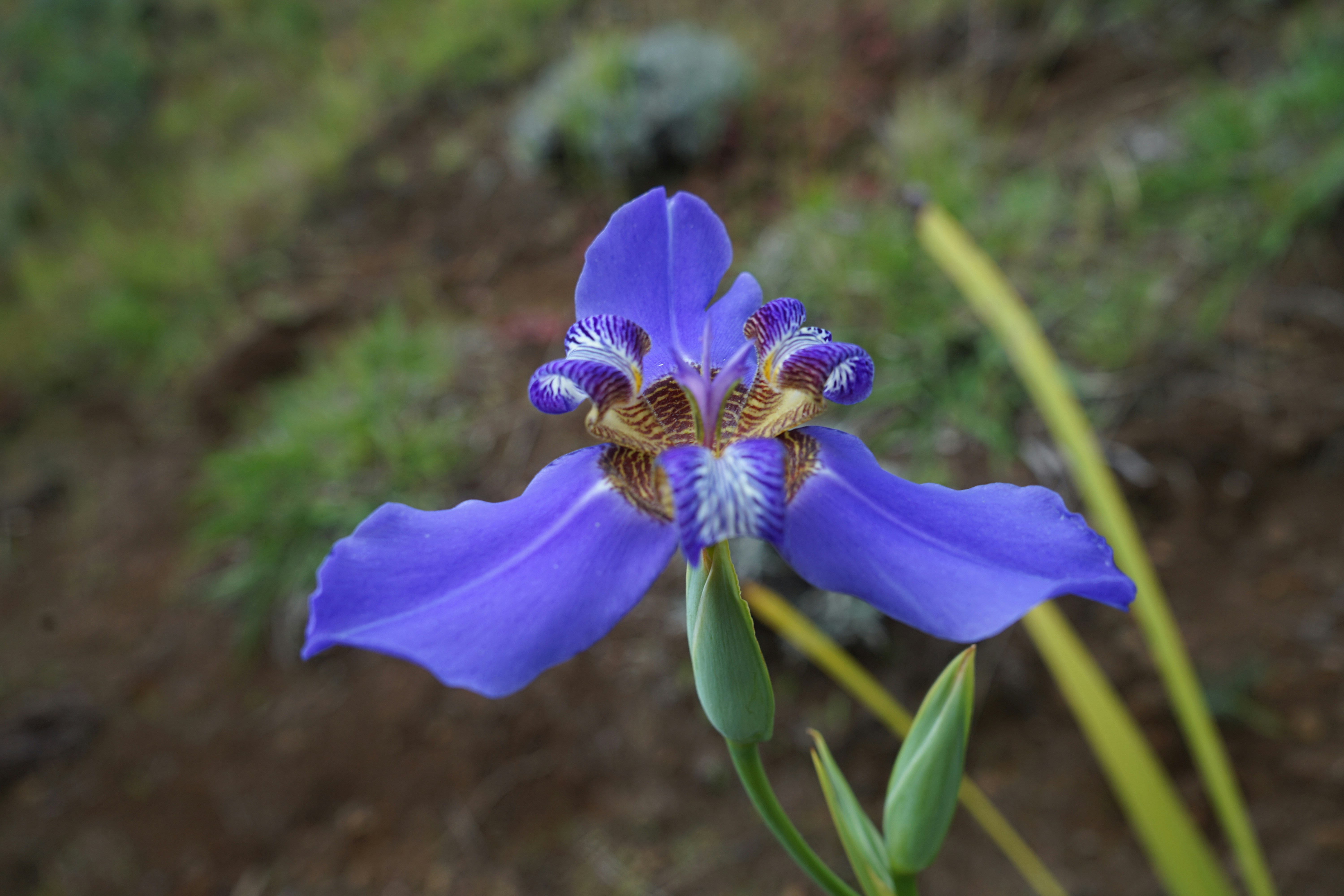 Photo by denisseleon