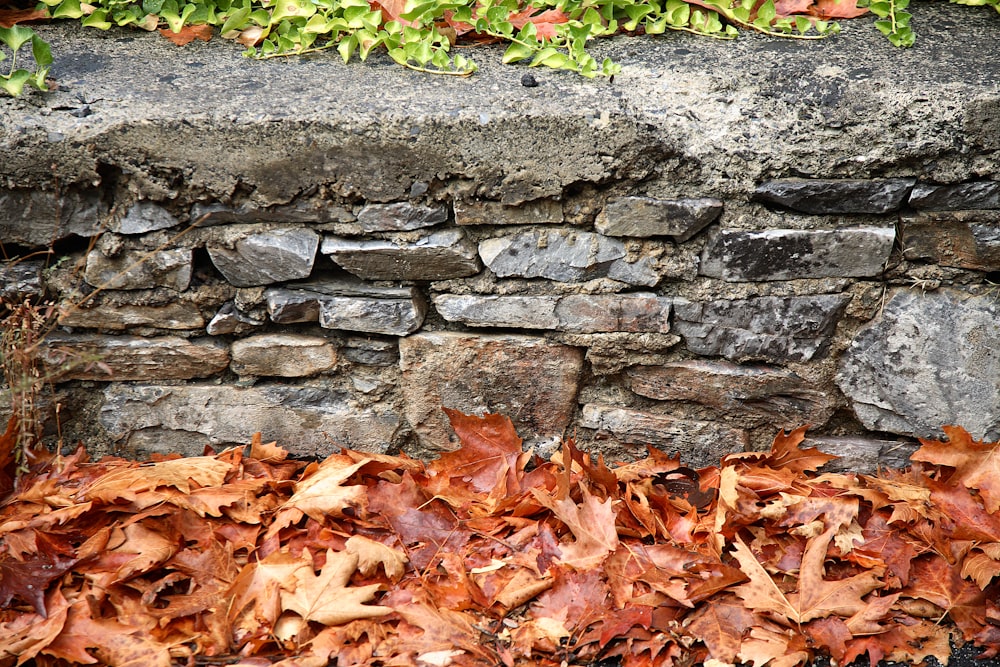 a fire hydrant sitting on top of a pile of leaves