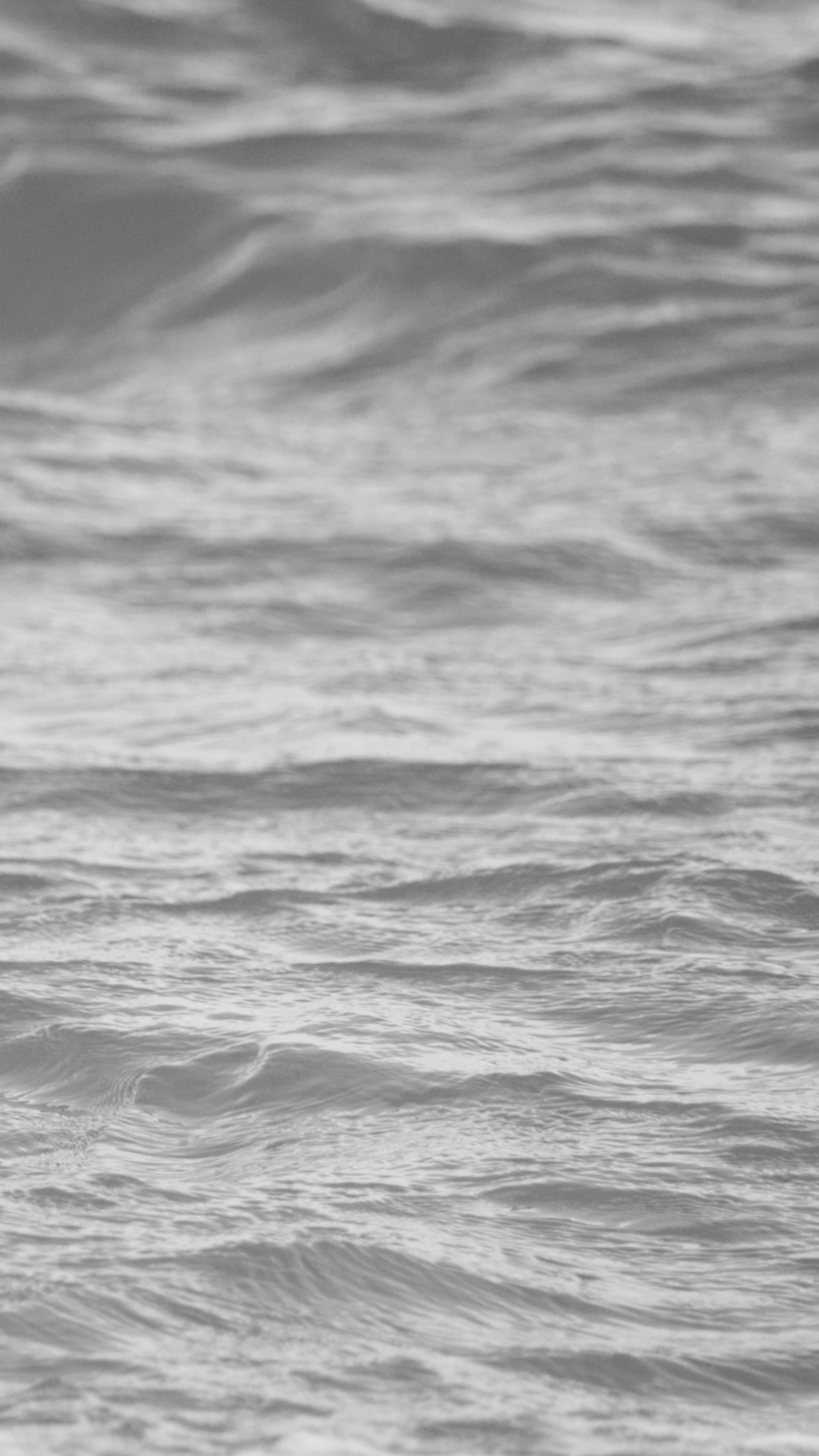 Photo by saidyigitcamlica