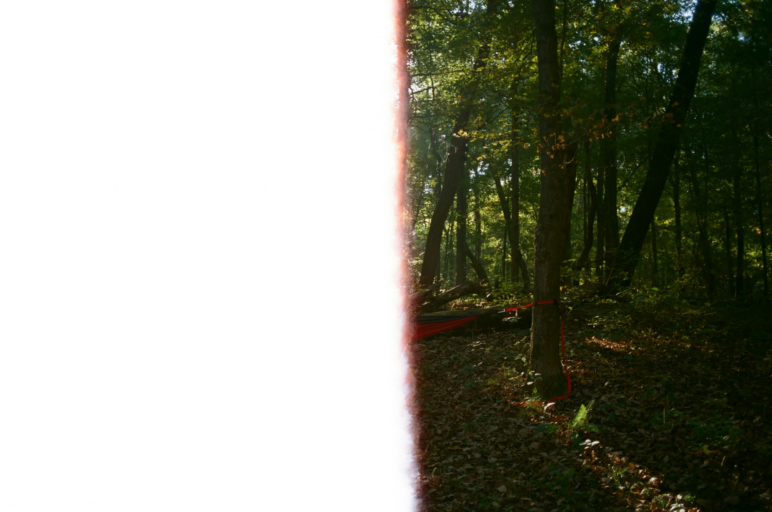 Red Camp