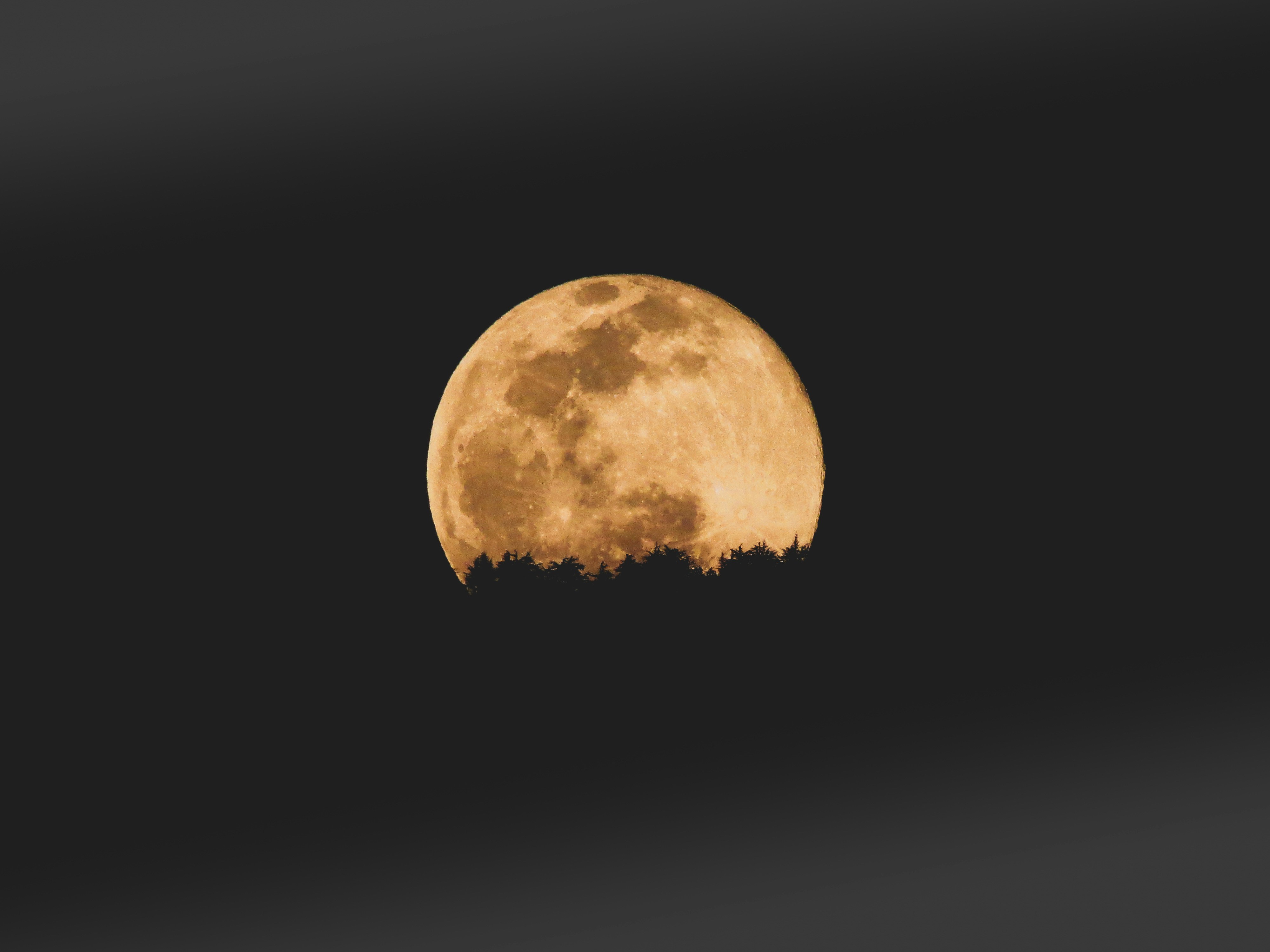 Photo by raghavkalia