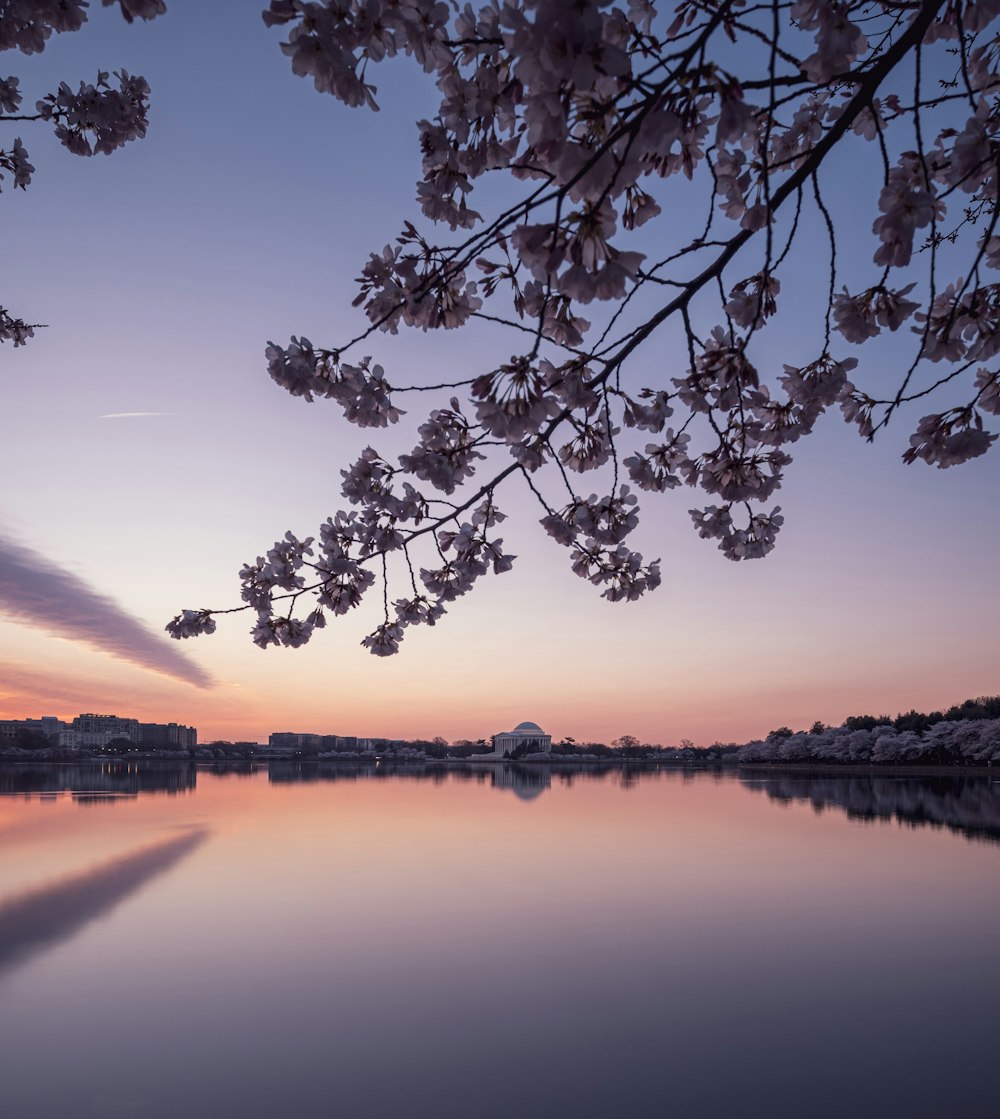 a beautiful view of a lake at sunset