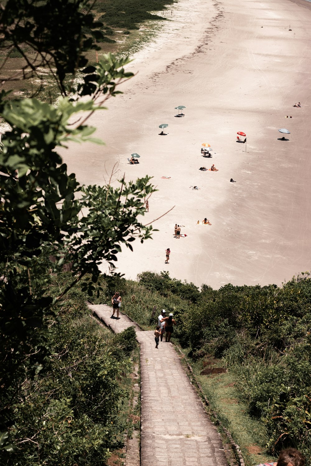 a group of people walking up a hill next to a beach
