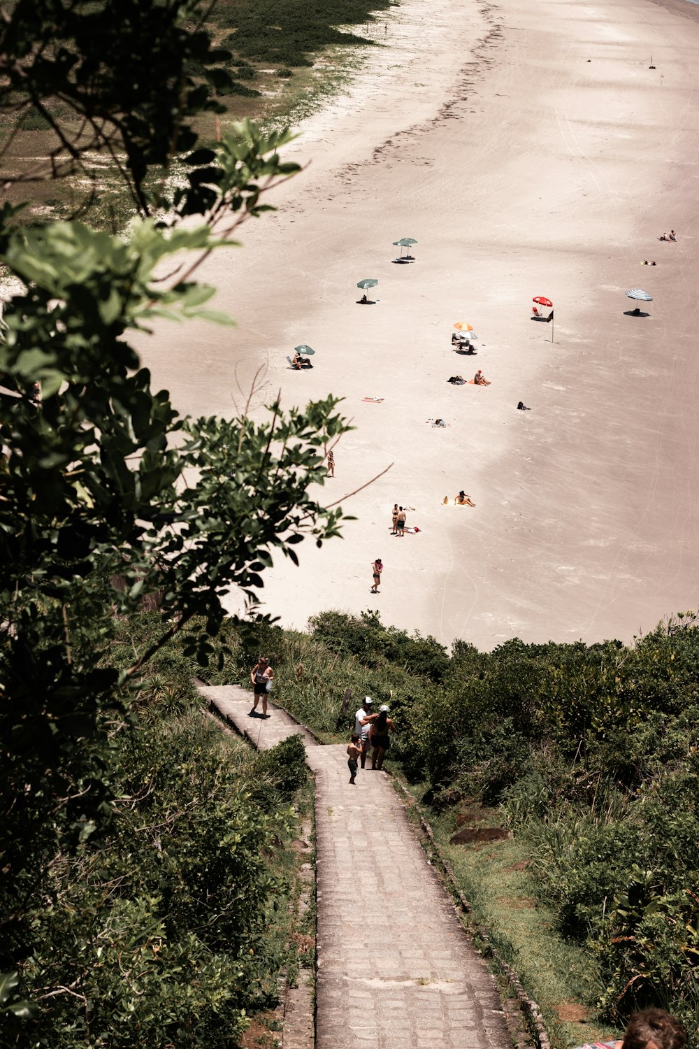 Eine Gruppe von Menschen, die einen Hügel neben einem Strand hinaufgehen