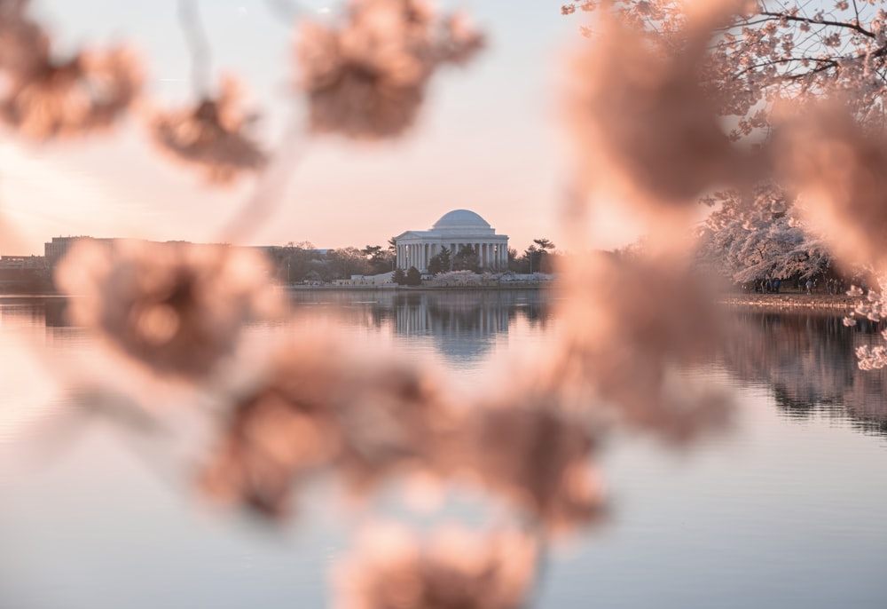 a view of the jefferson memorial from across the lake