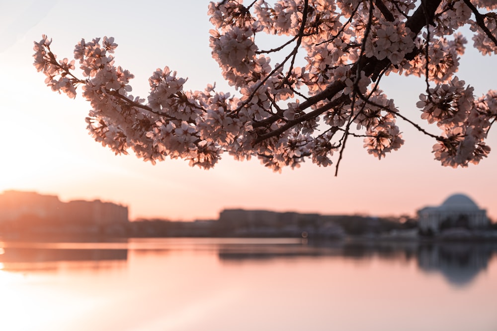 the sun is setting over a body of water