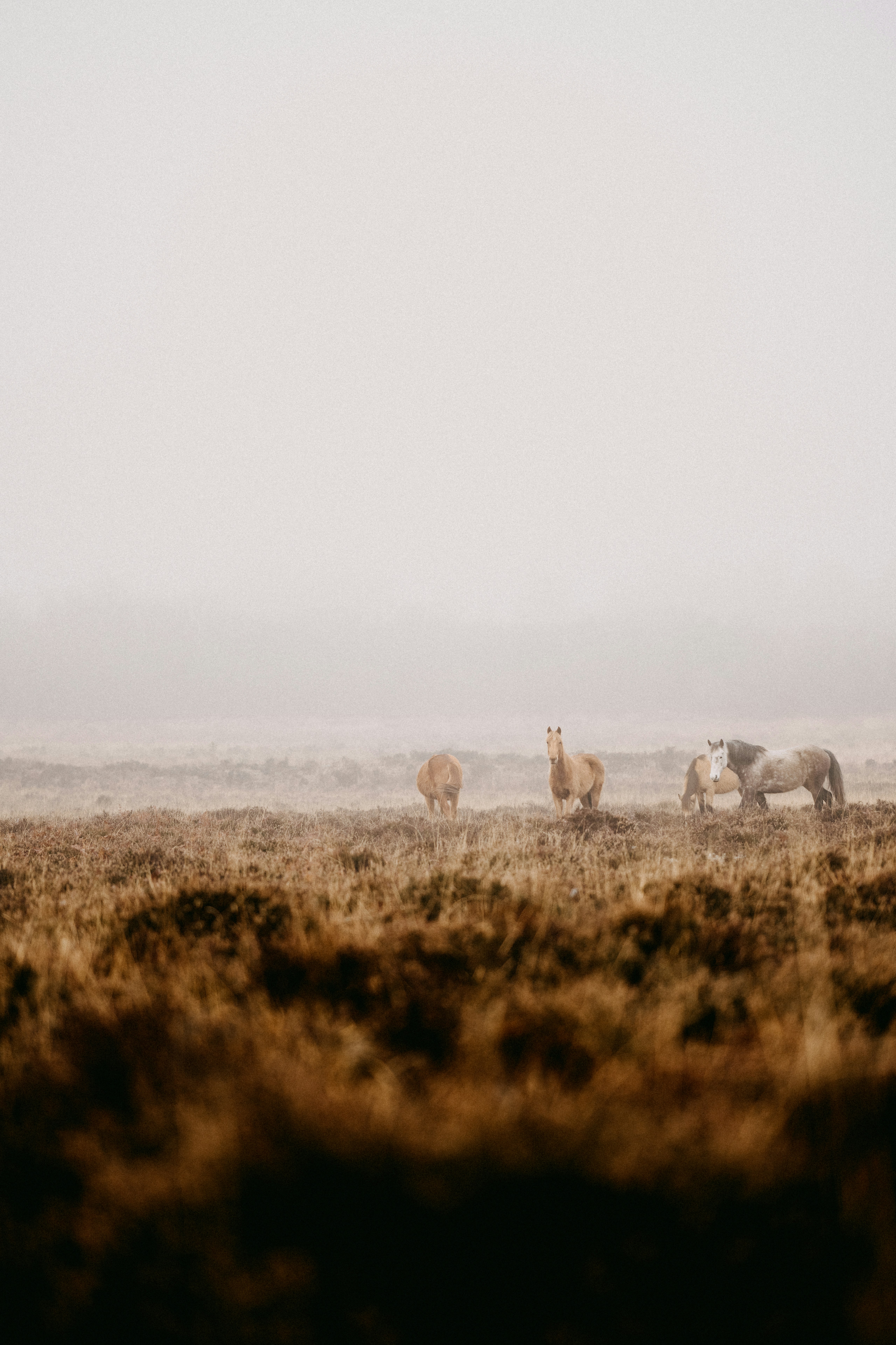 Photo by anniespratt