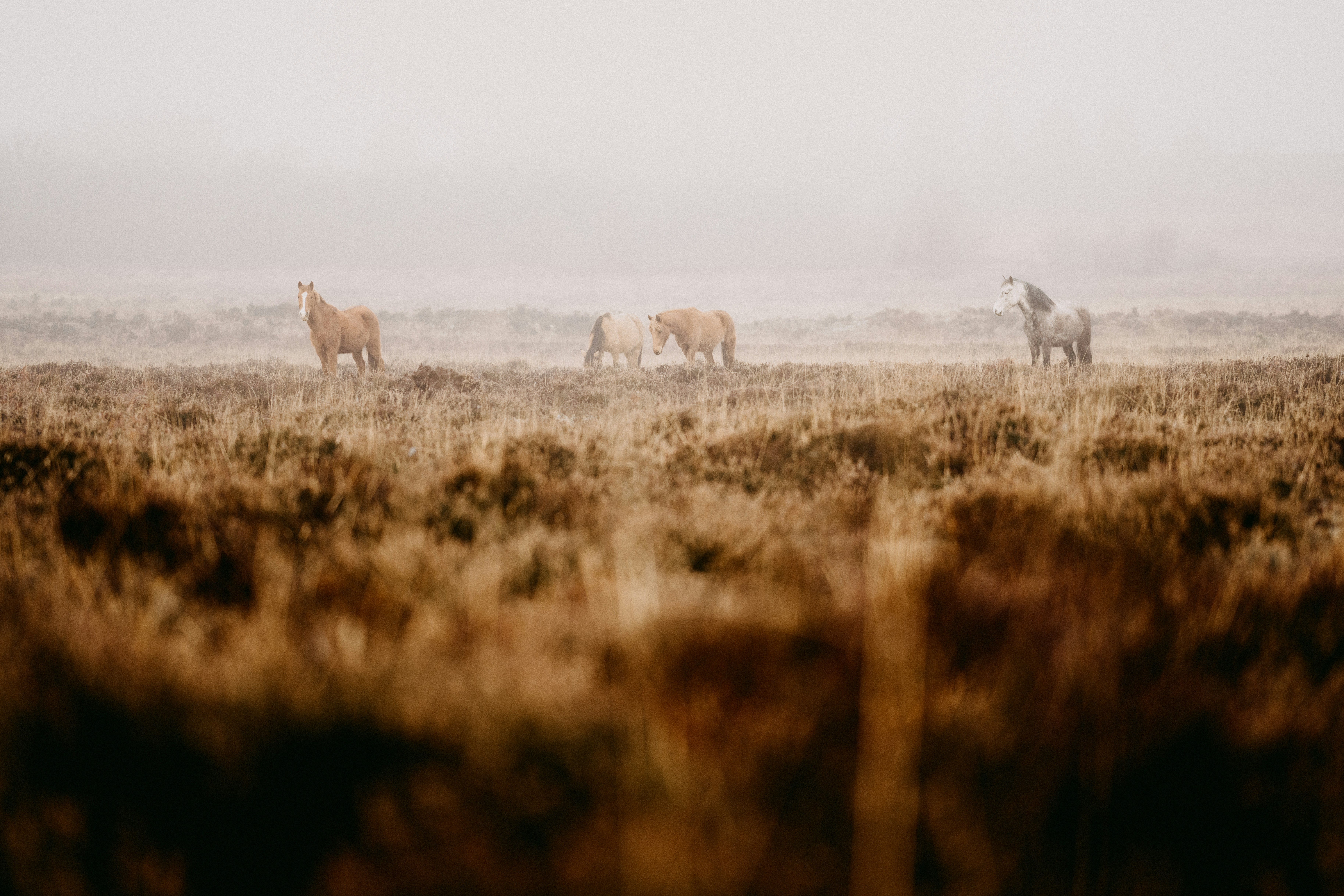 Photo by anniespratt