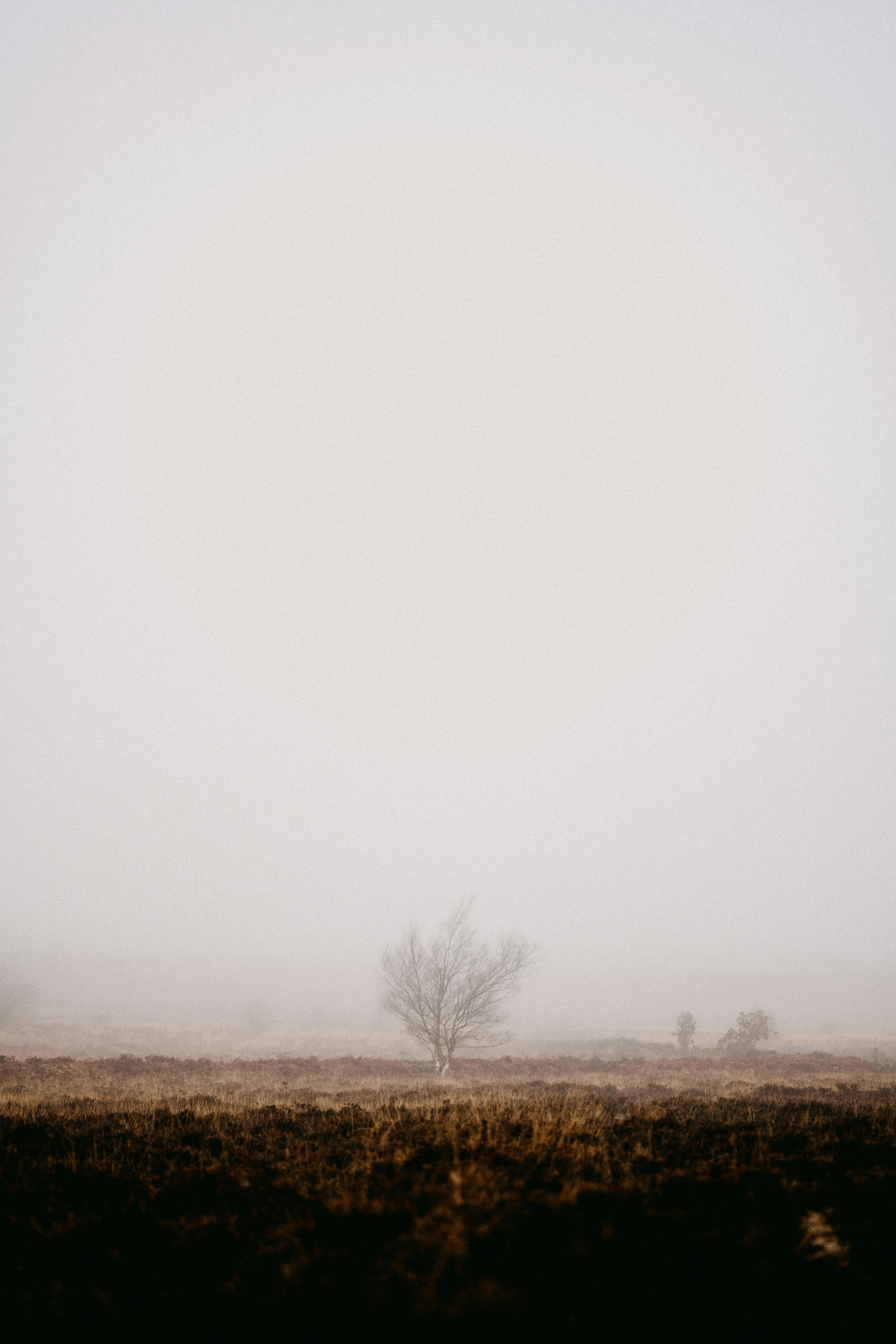 Photo by anniespratt