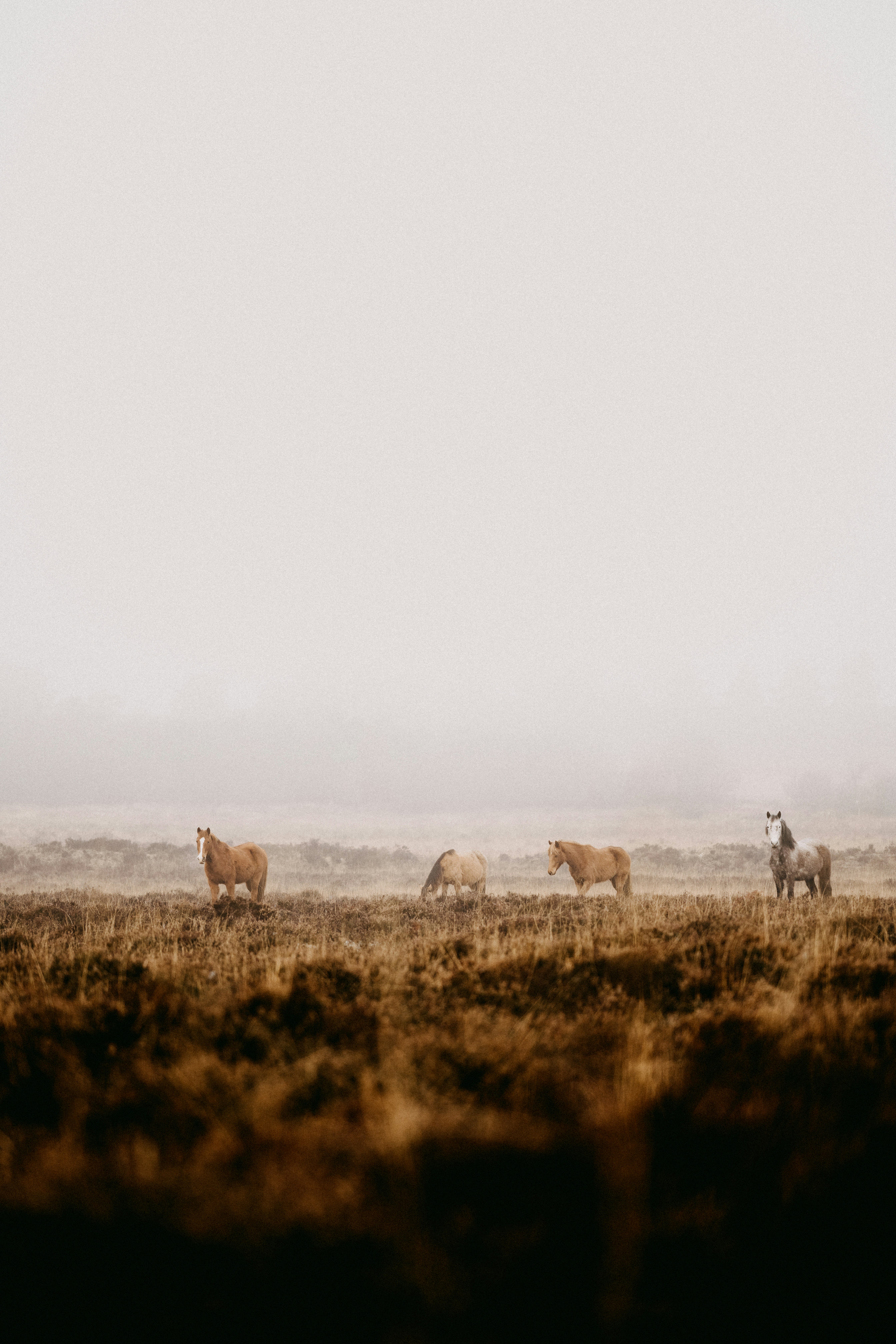 Photo by anniespratt