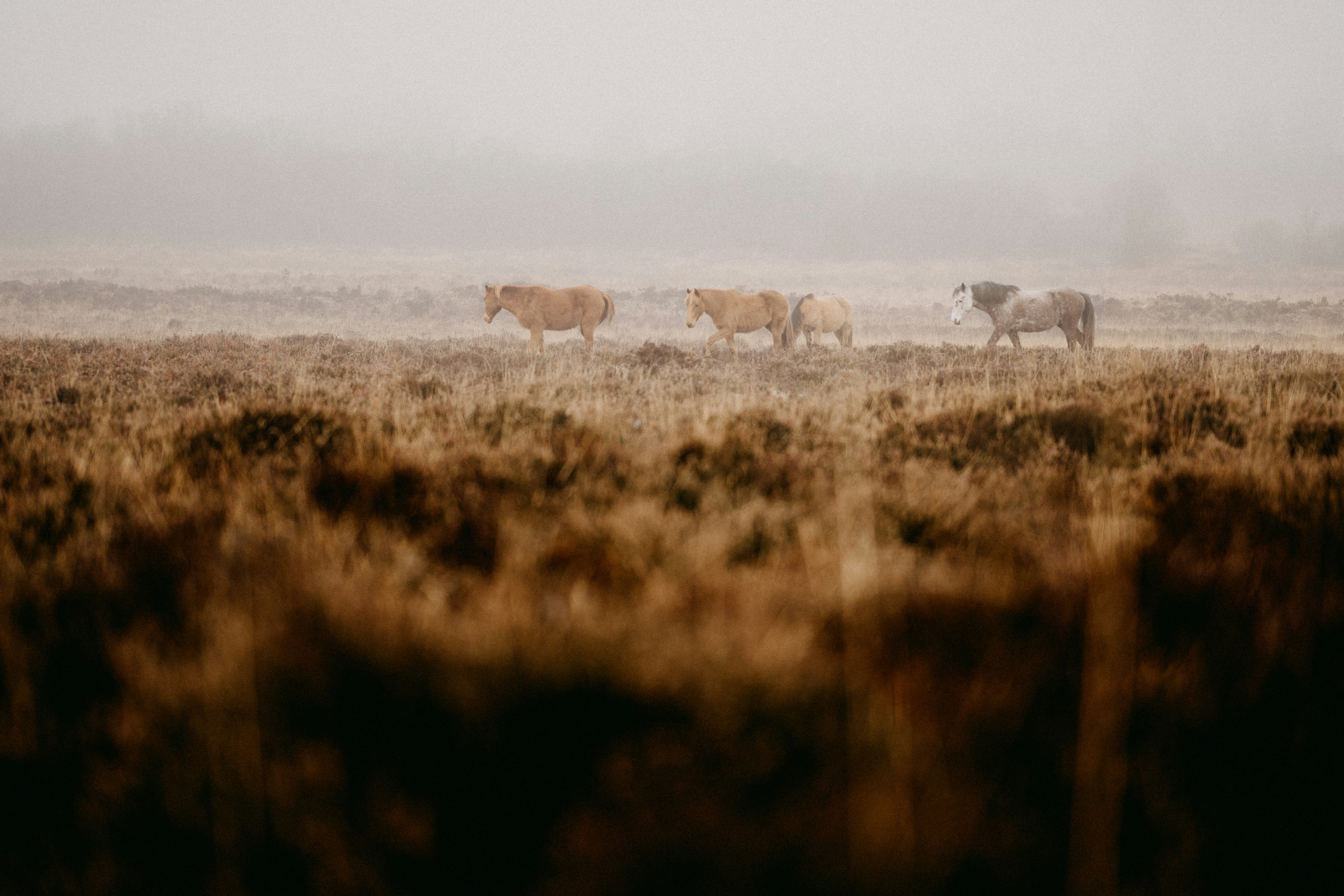 Photo by anniespratt