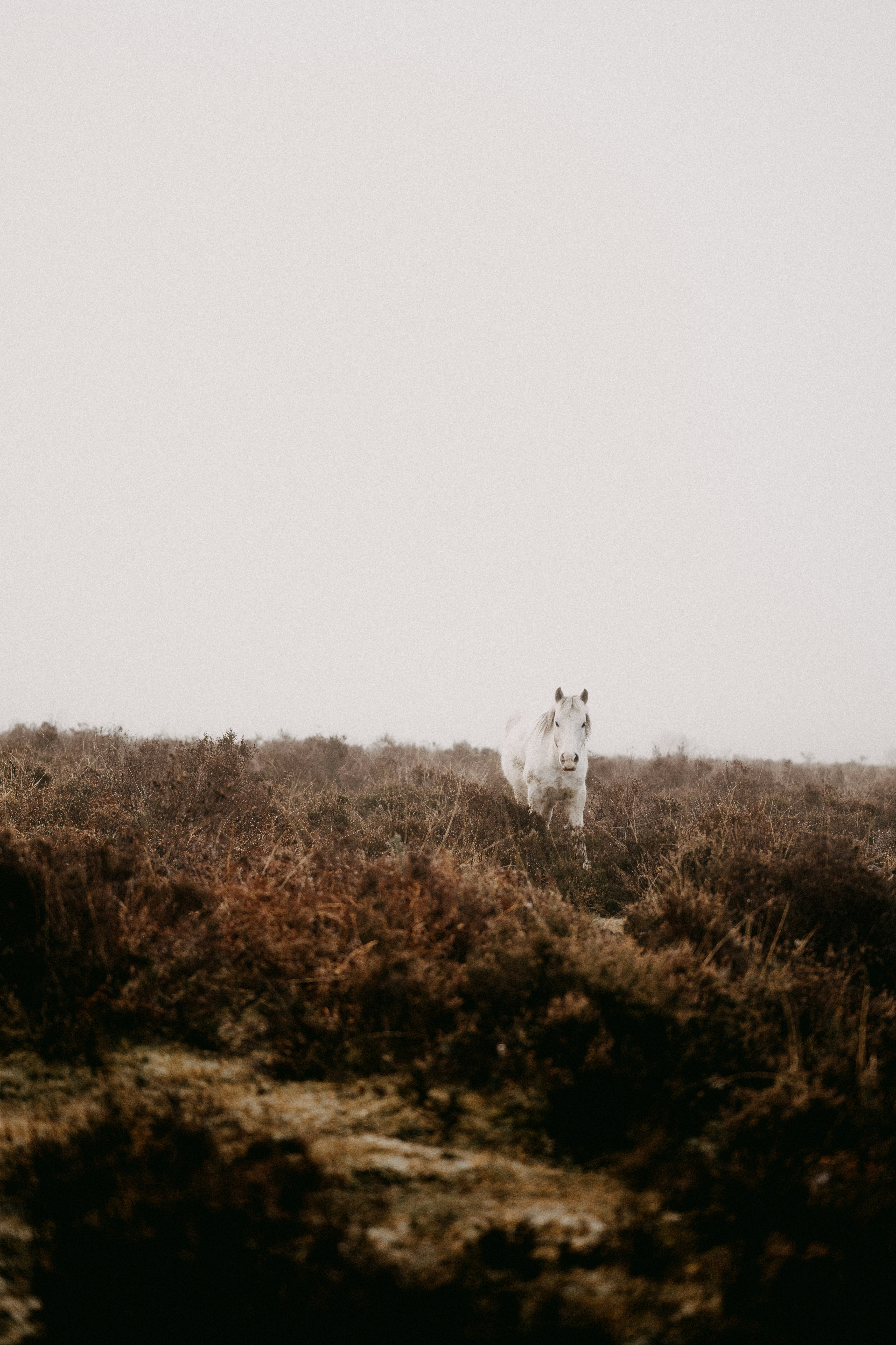 Photo by anniespratt