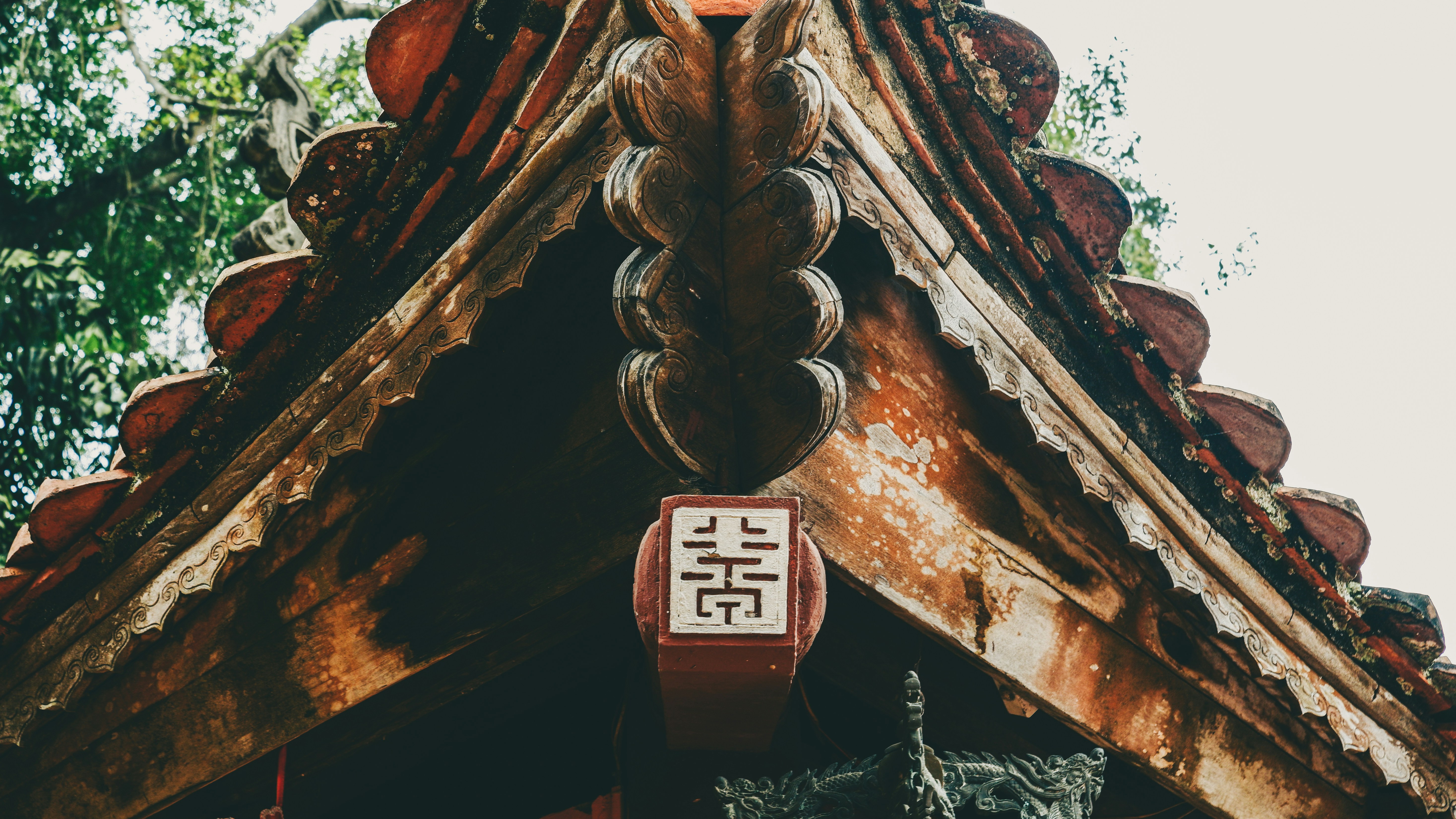 Photo by dying_apricity