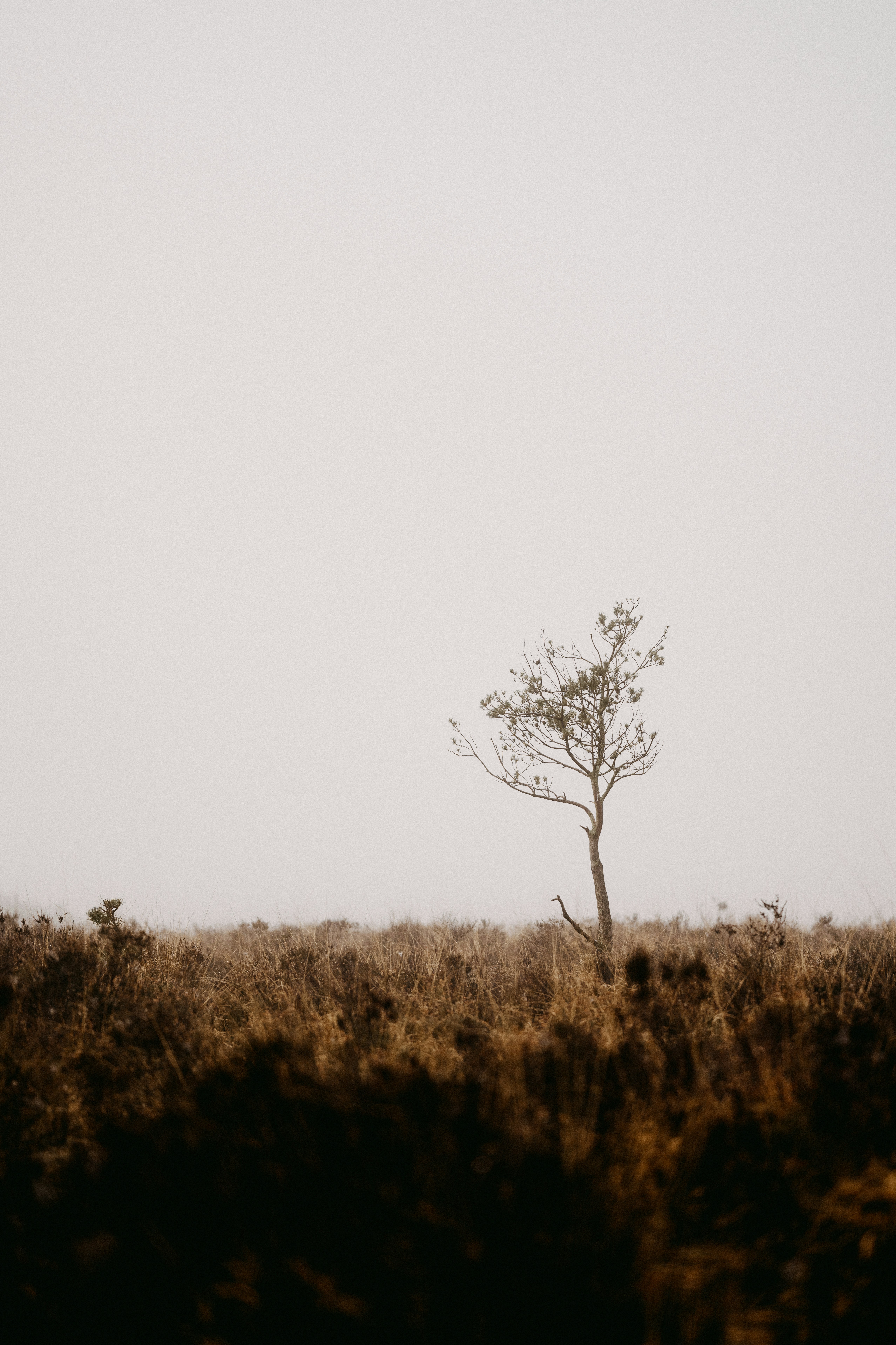 Photo by anniespratt