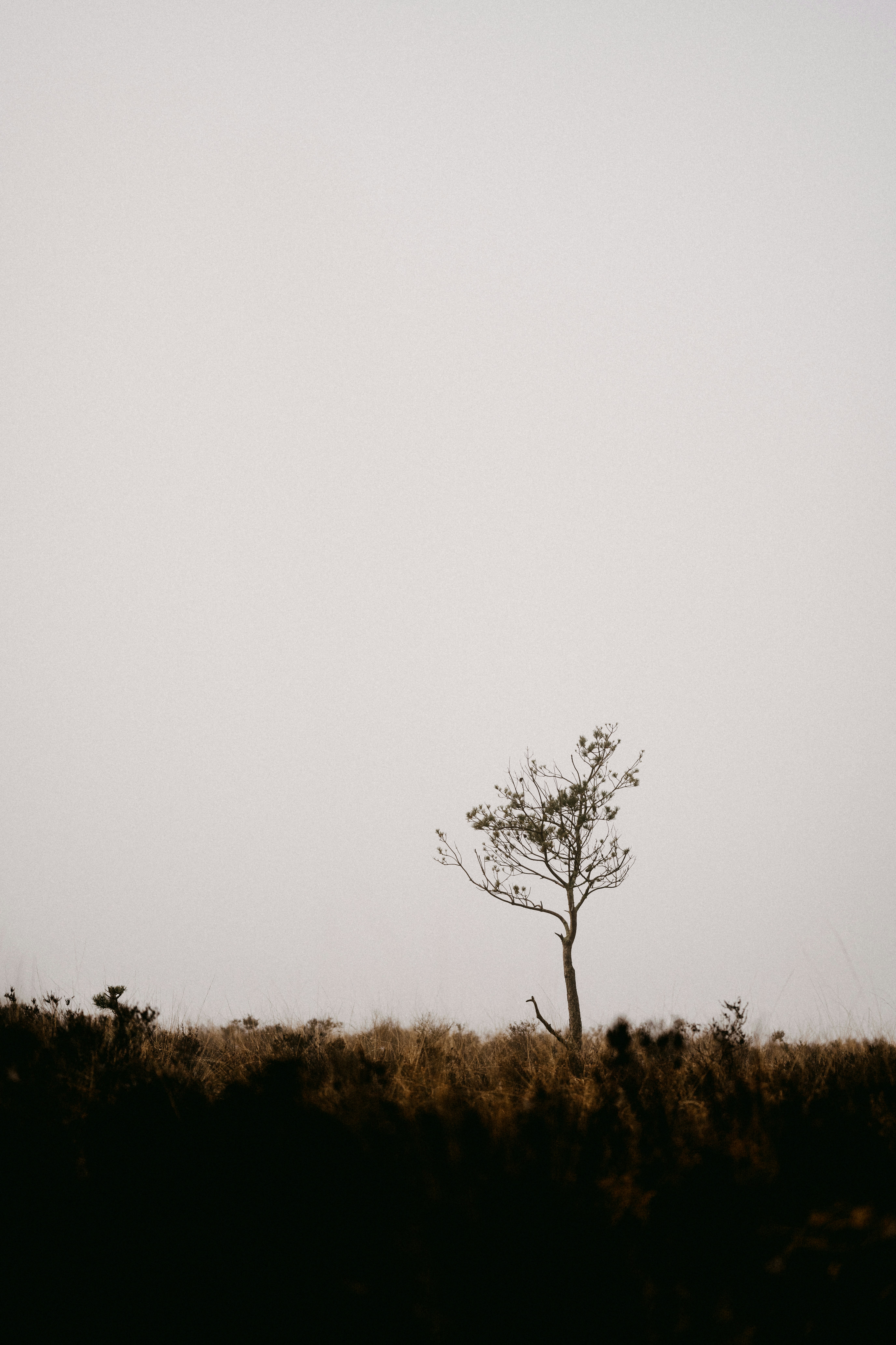 Photo by anniespratt