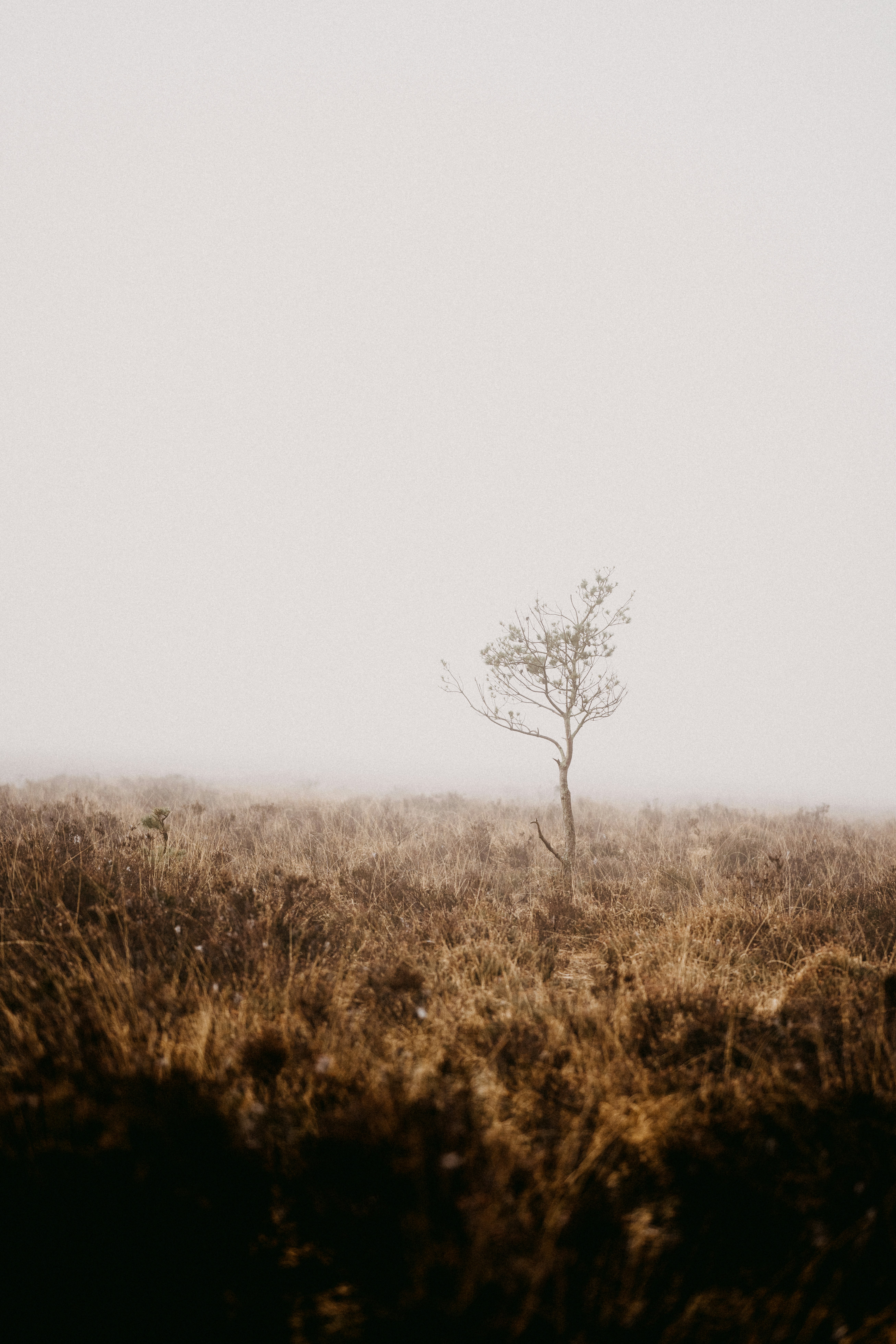 Photo by anniespratt