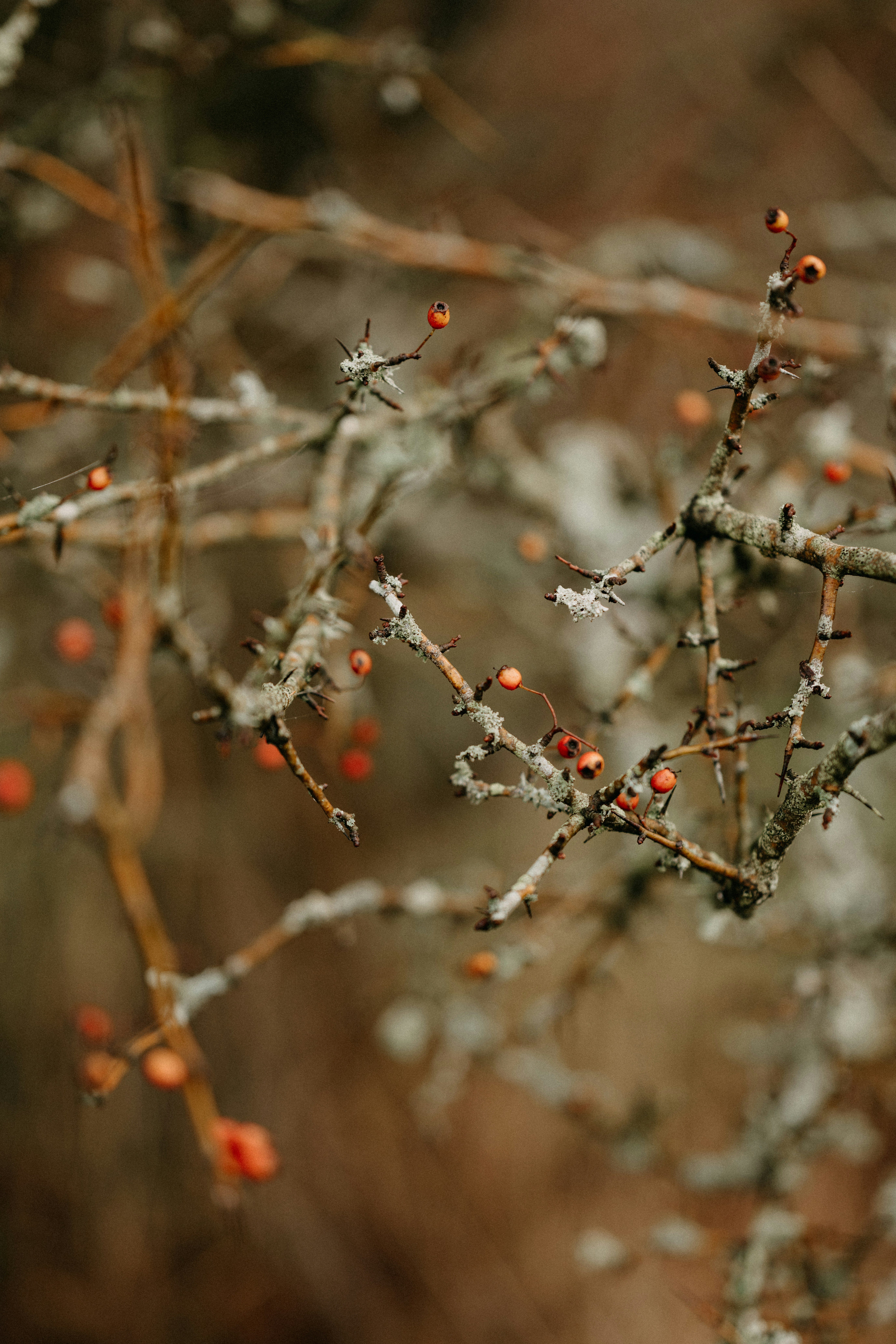 Photo by anniespratt