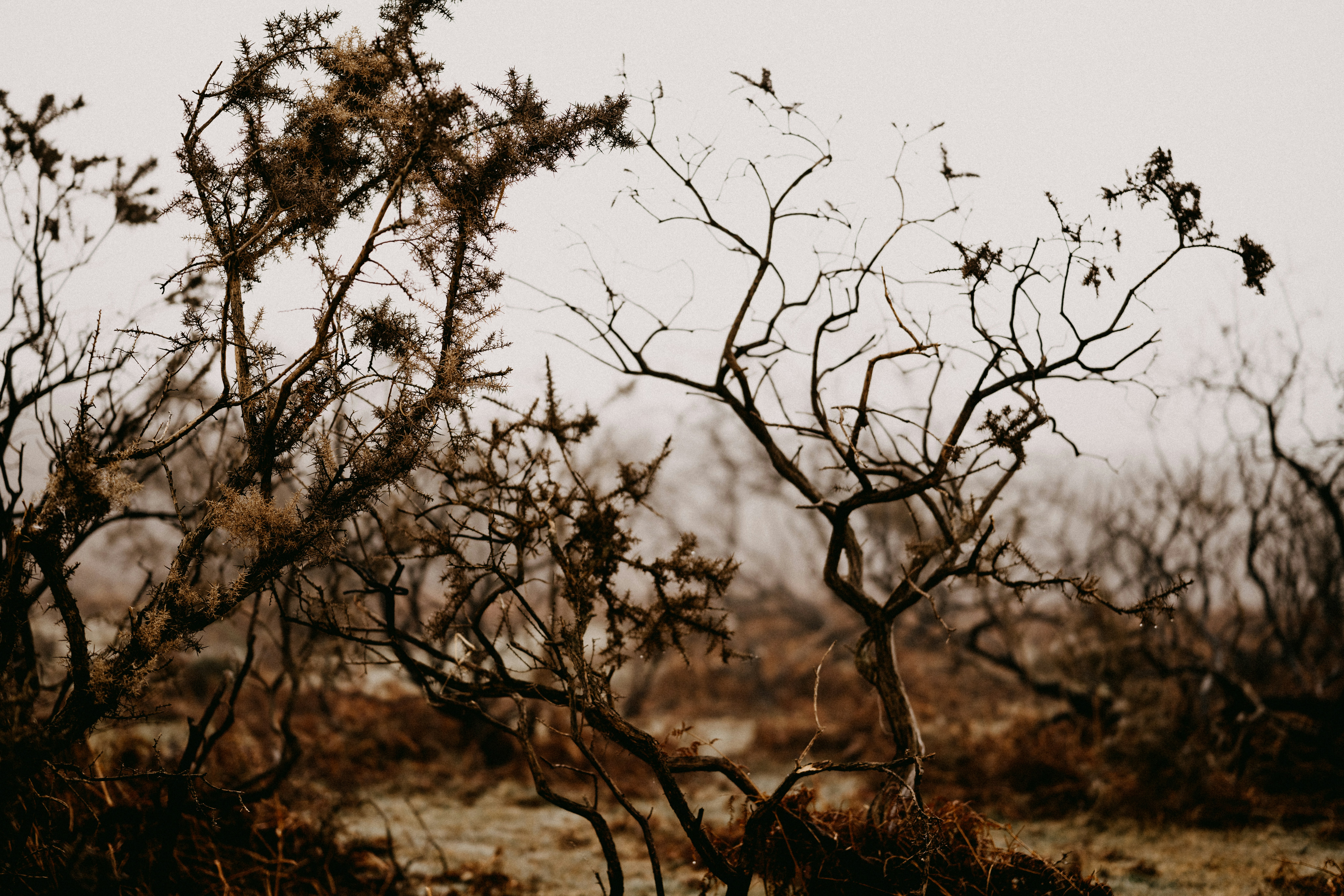 Photo by anniespratt