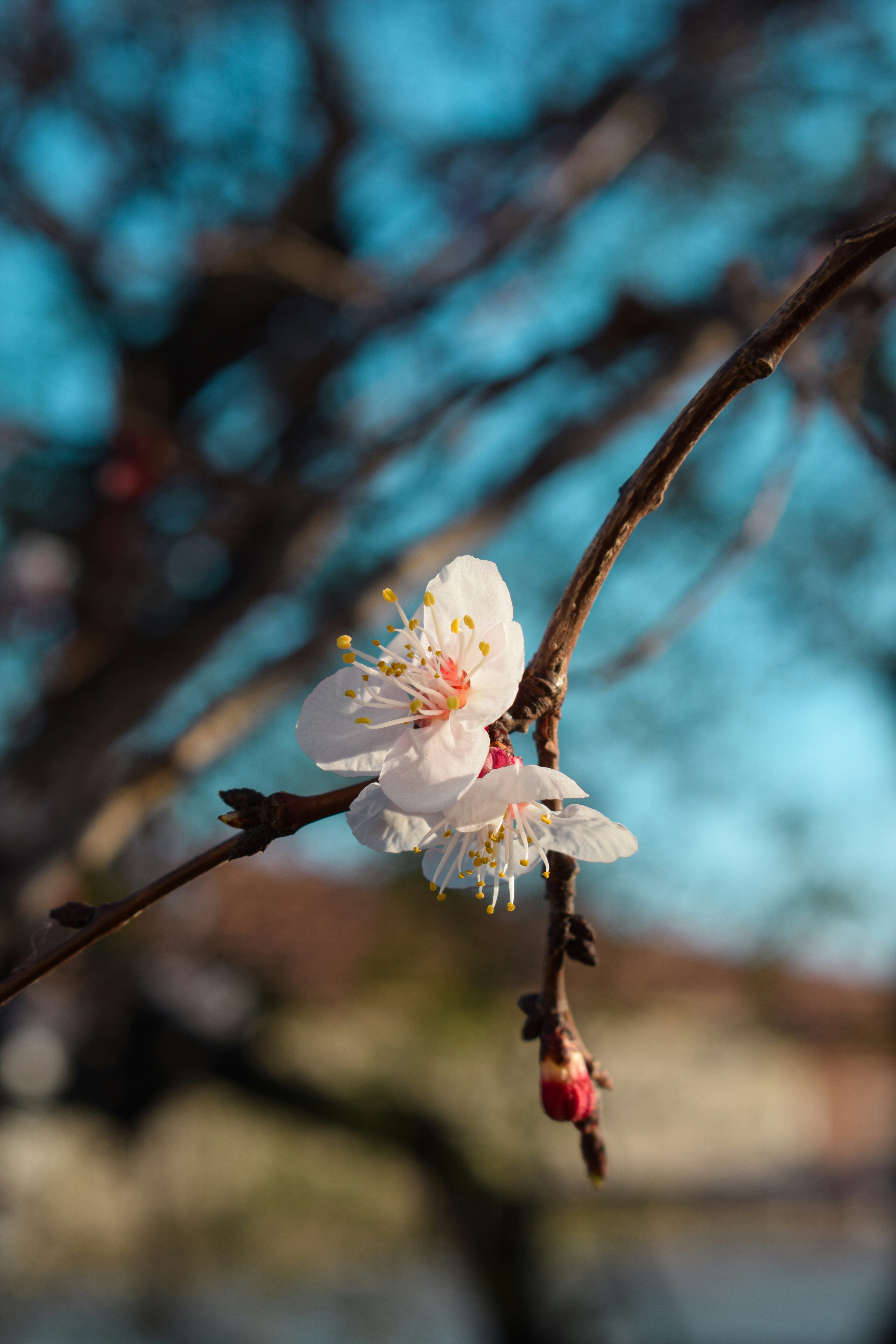 Photo by emrekarayer