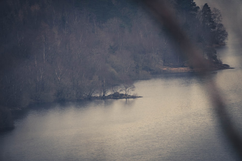 uno specchio d'acqua circondato da alberi e nebbia