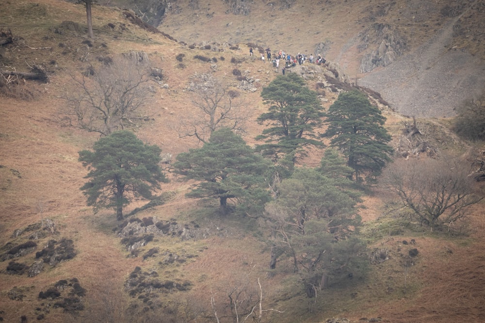 a group of people walking up a hill