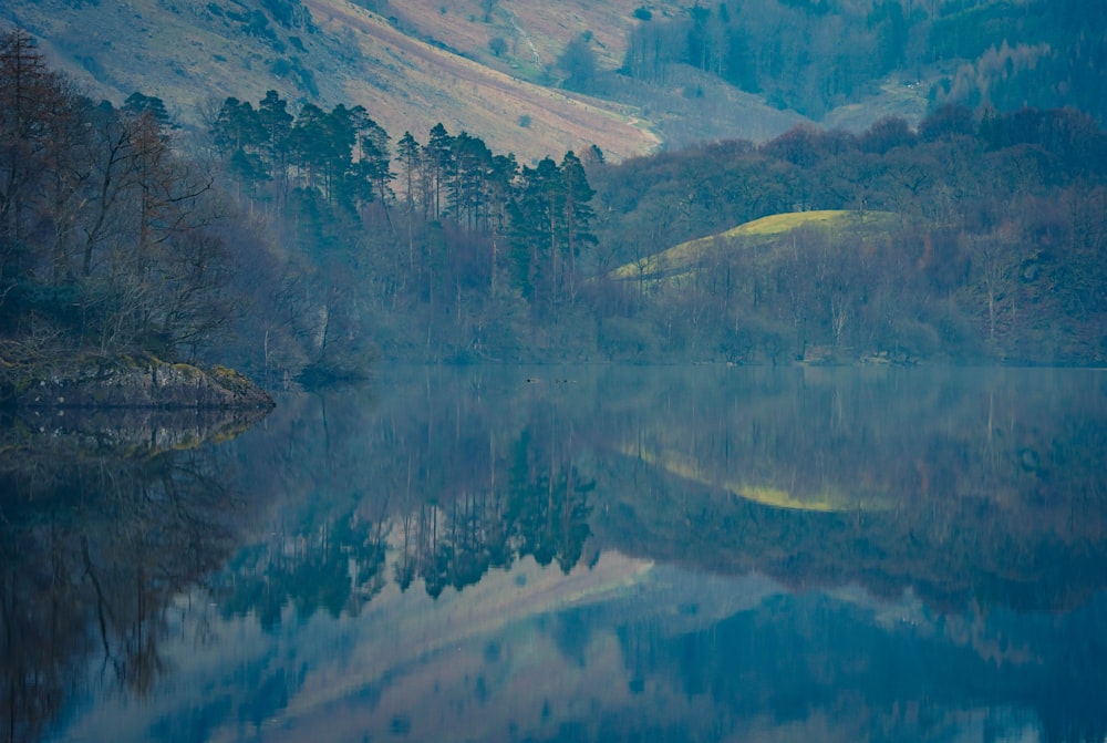 a body of water surrounded by mountains and trees