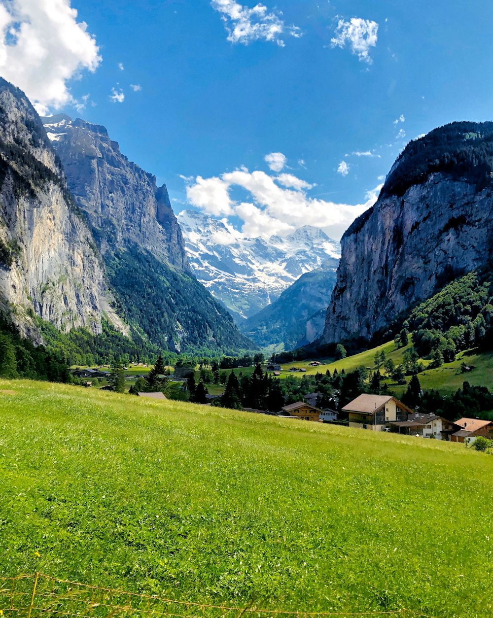 a green field with a mountain in the background